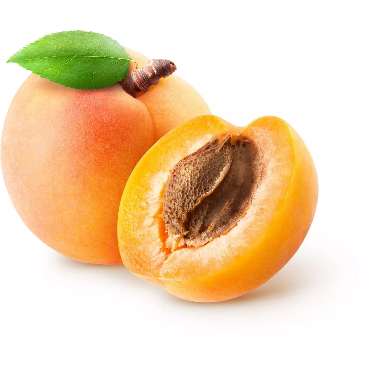 Abricot 1 pièce