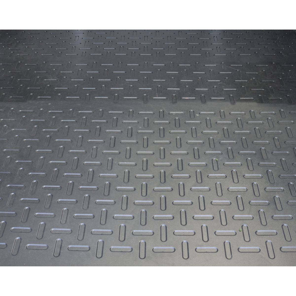 CANOPIA BY PALRAM Abri de jardin polycarbonate - Avec plancher - 1,9m² - SKYLIGHT