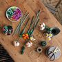 Voir la diapositive 5 : LEGO Creator 10280 - Bouquet de Fleurs