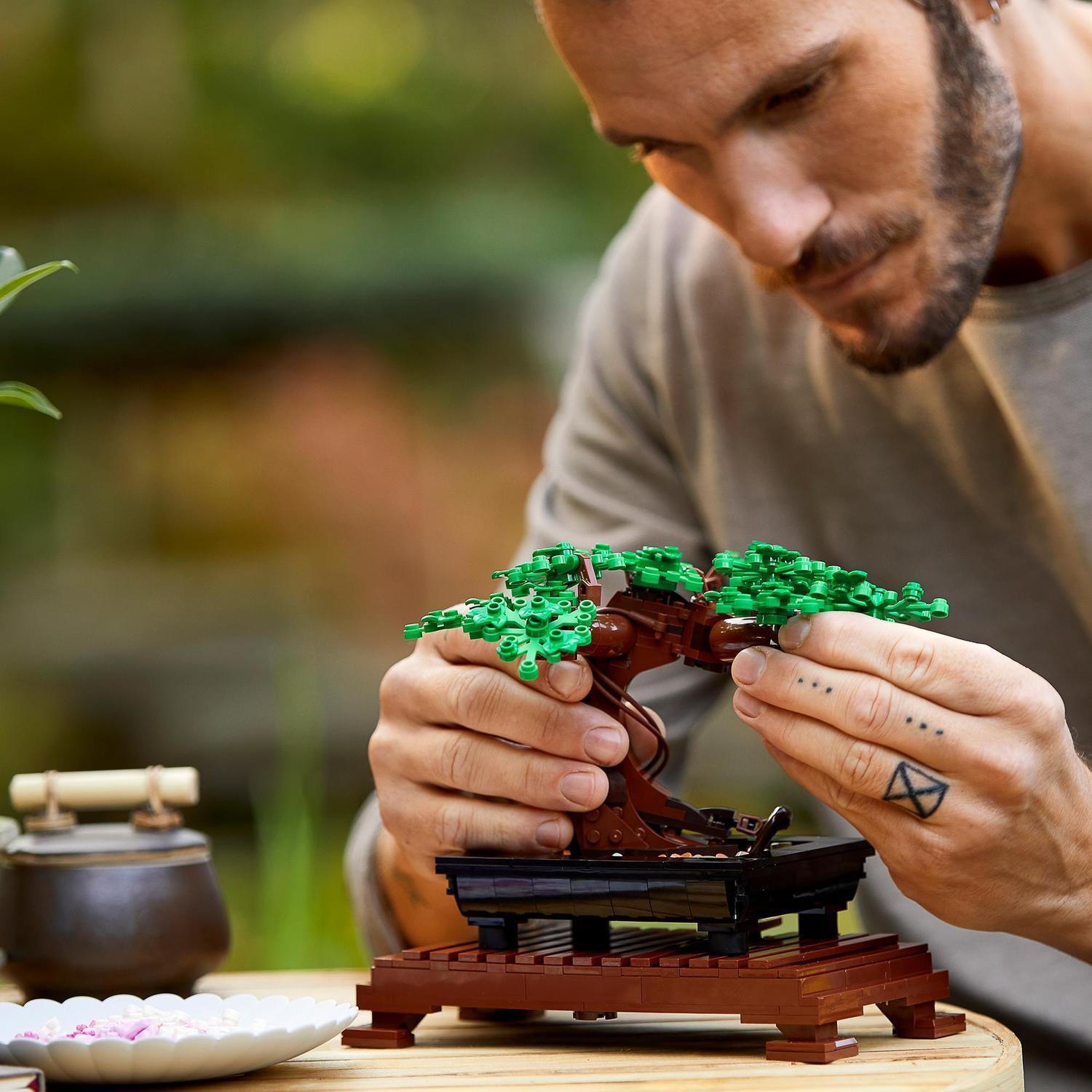 Voir la diapositive 7 : LEGO Botanicals 10281 Bonsaï - Set de Construction pour Adulte avec Plante Artificielle
