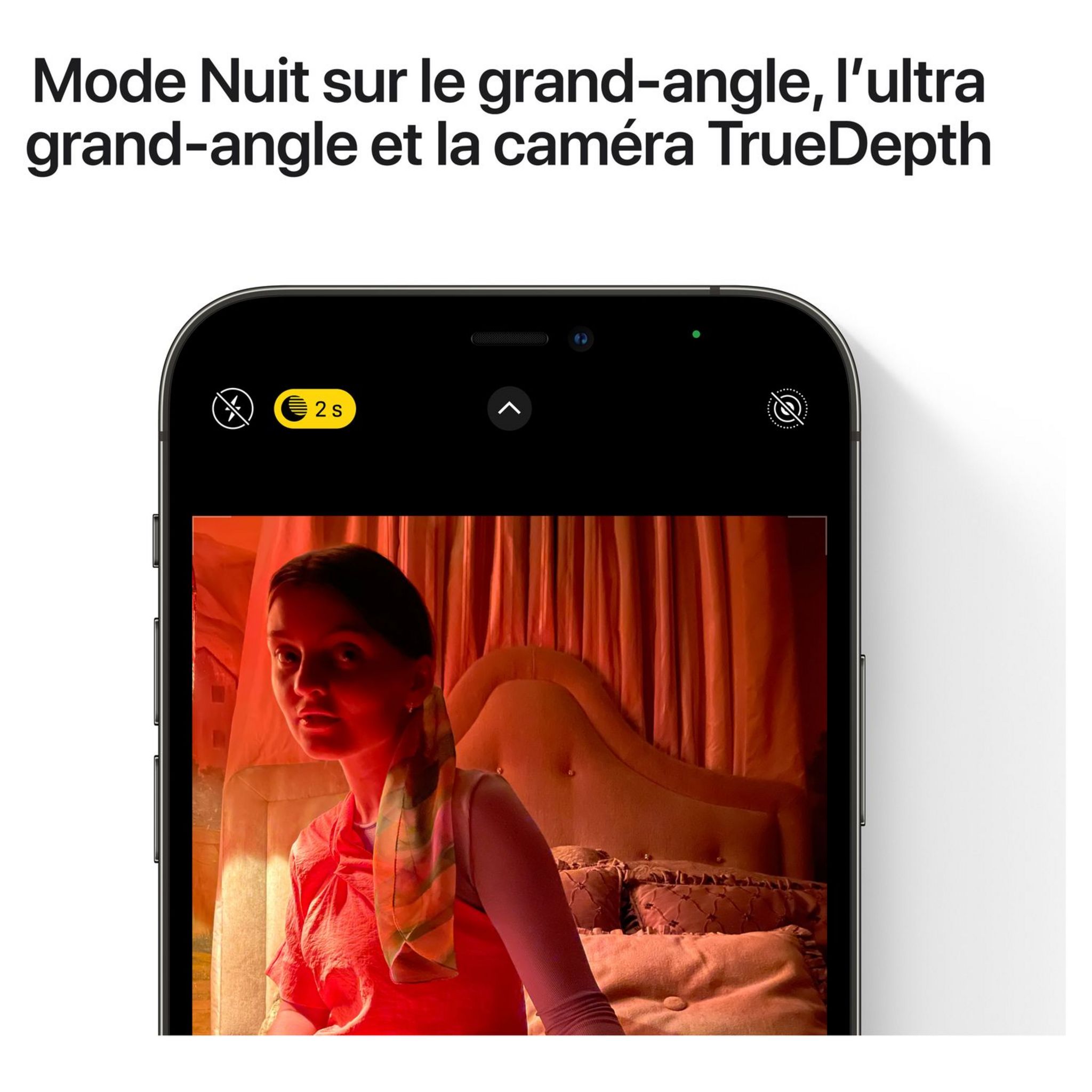 Voir la diapositive 2 : APPLE iPhone 12 Pro Max Graphite 128 Go