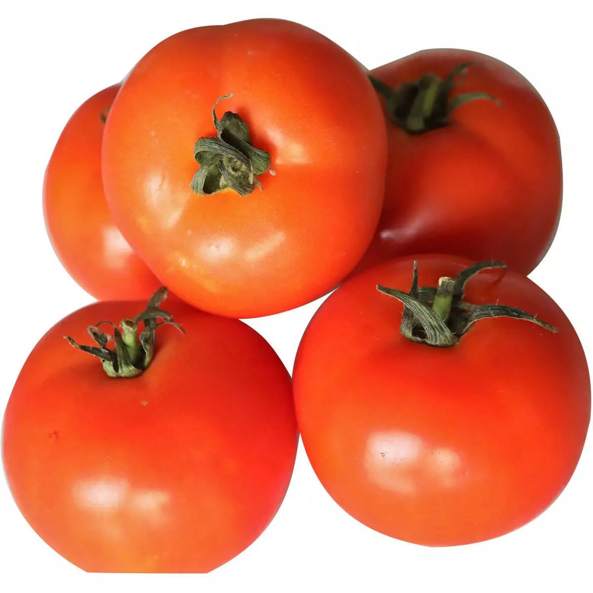 Tomates rondes corses 1kg