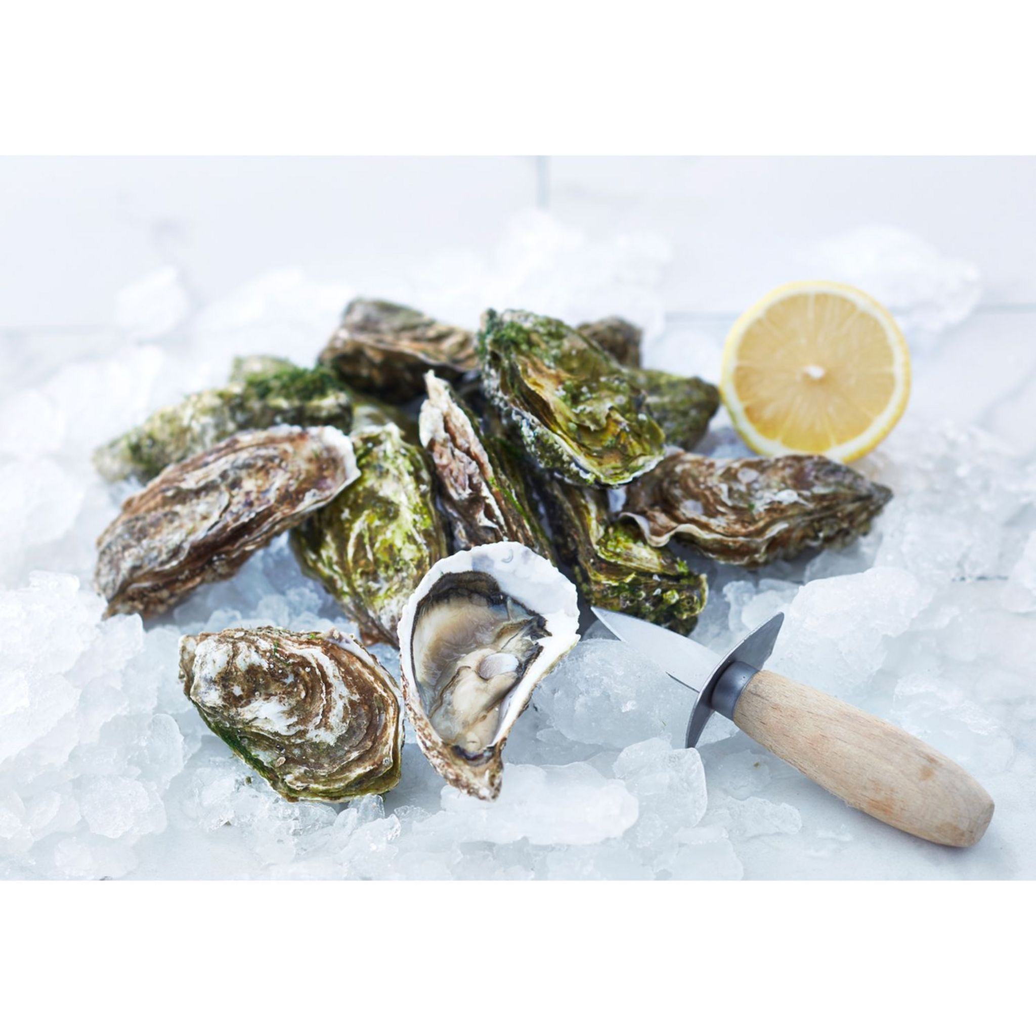 MAREE DU JOUR Huîtres spéciales n°2 9 pièces 990g
