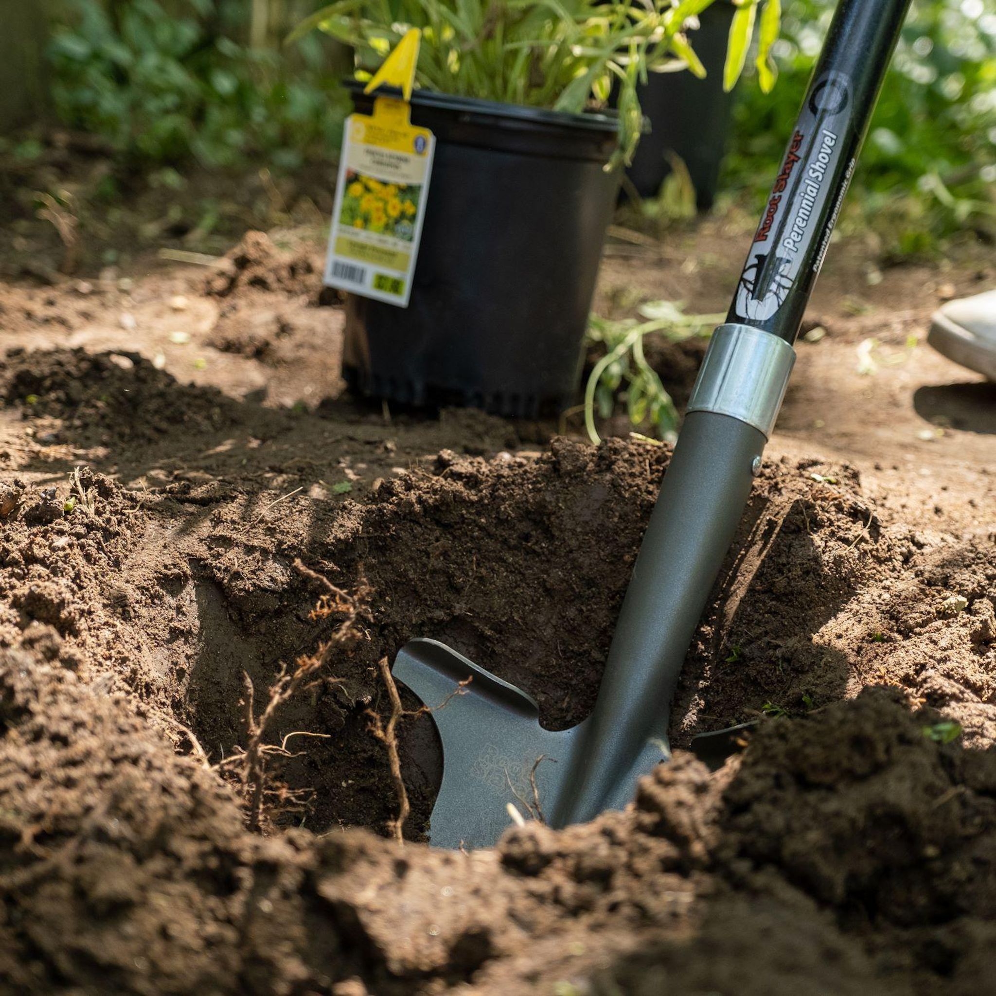 Voir la diapositive 5 : VENTEO Root slayer special massifs