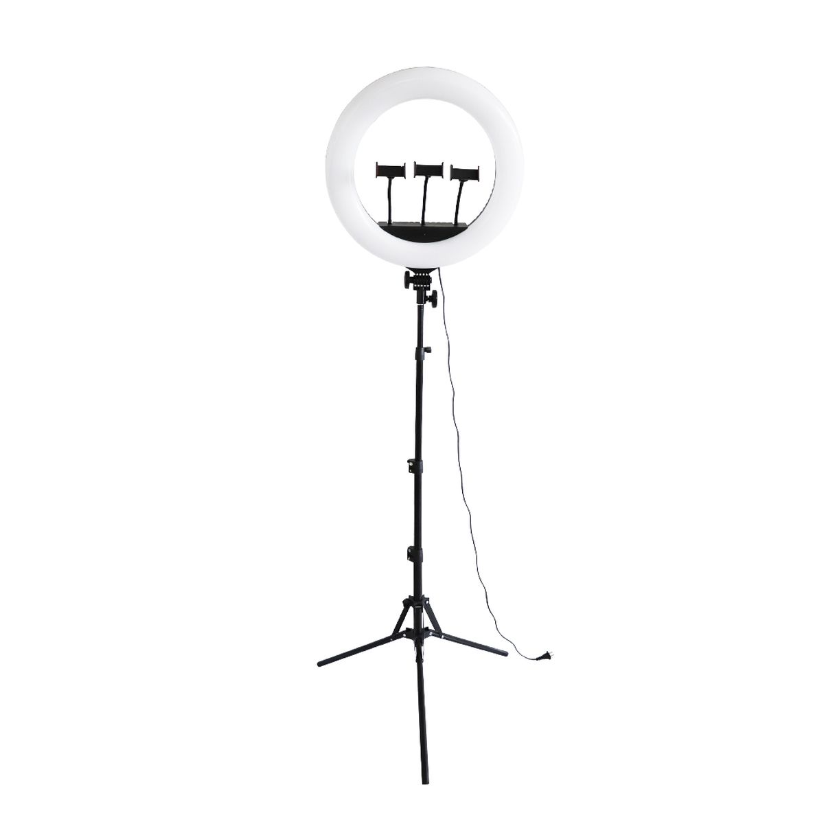 Voir la diapositive 6 : WILIGHT WILIGHT Trépied Lumineux Professionnel RL18