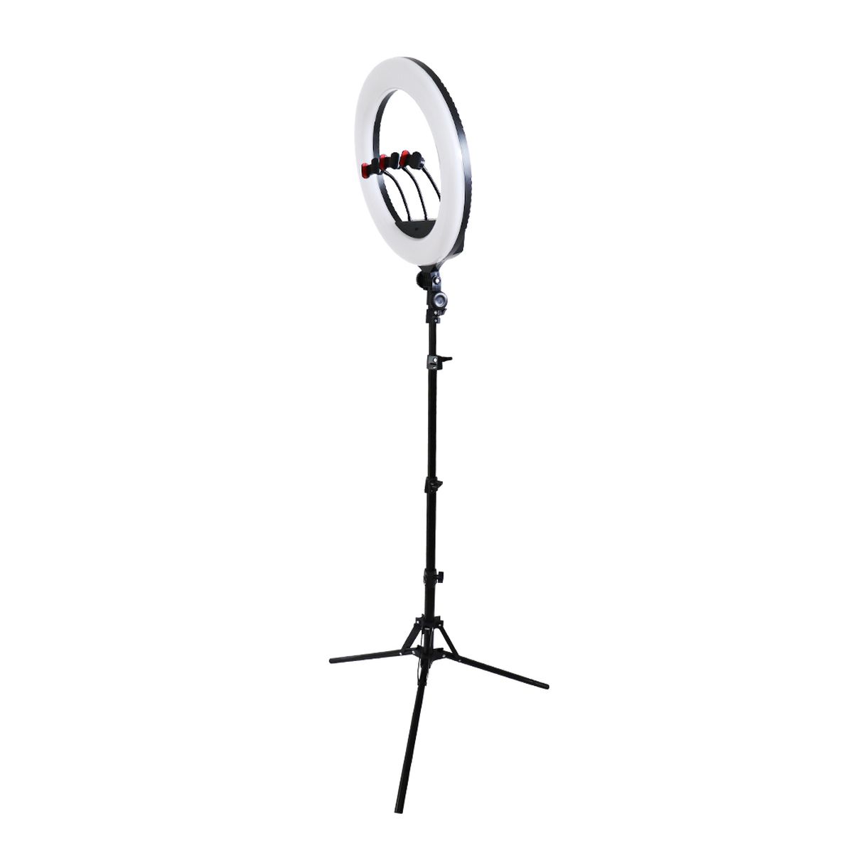 Voir la diapositive 7 : WILIGHT WILIGHT Trépied Lumineux Professionnel RL18