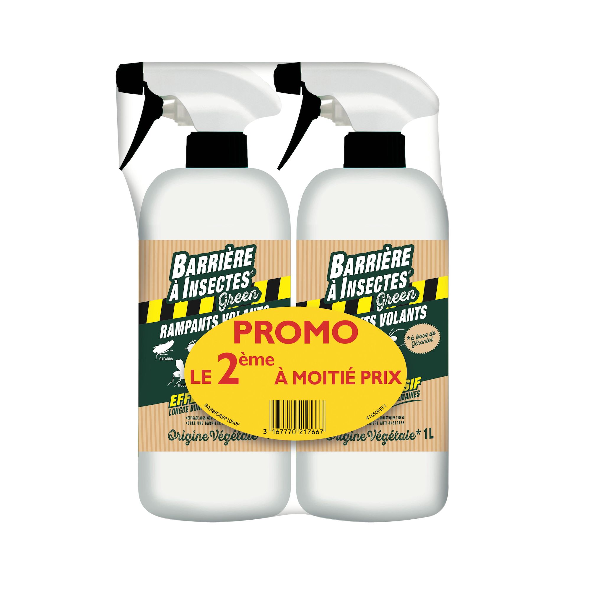 KB Insectes rampant volants