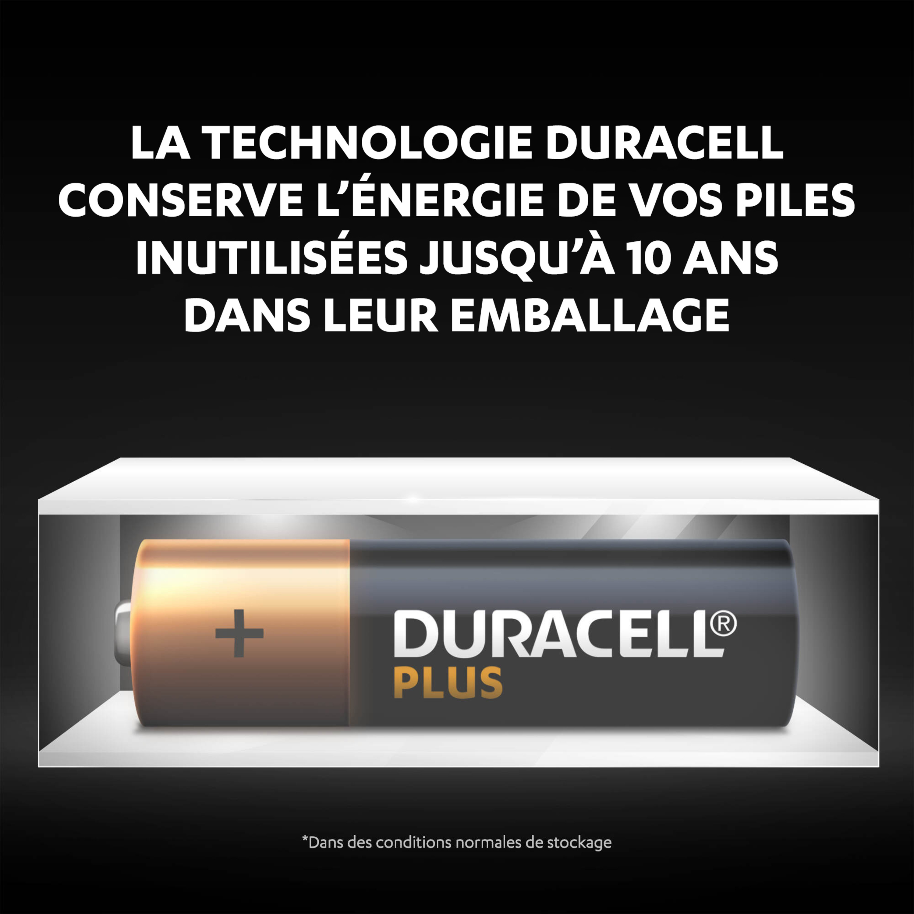 Voir la diapositive 3 : DURACELL Piles Alcalines AA Plus 100% - Lot de 8 piles