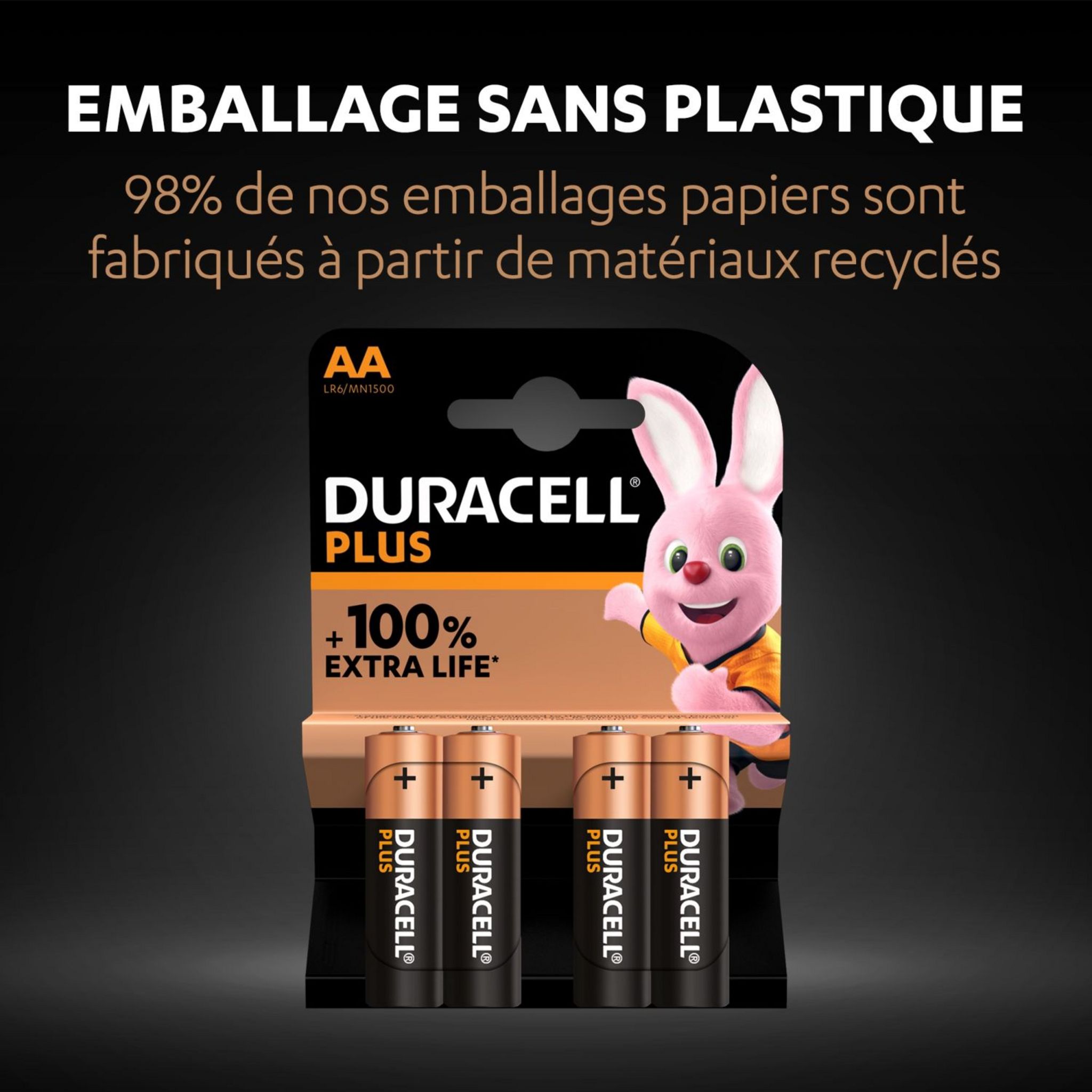 Voir la diapositive 4 : DURACELL Piles Alcalines AA Plus 100% - Lot de 8 piles