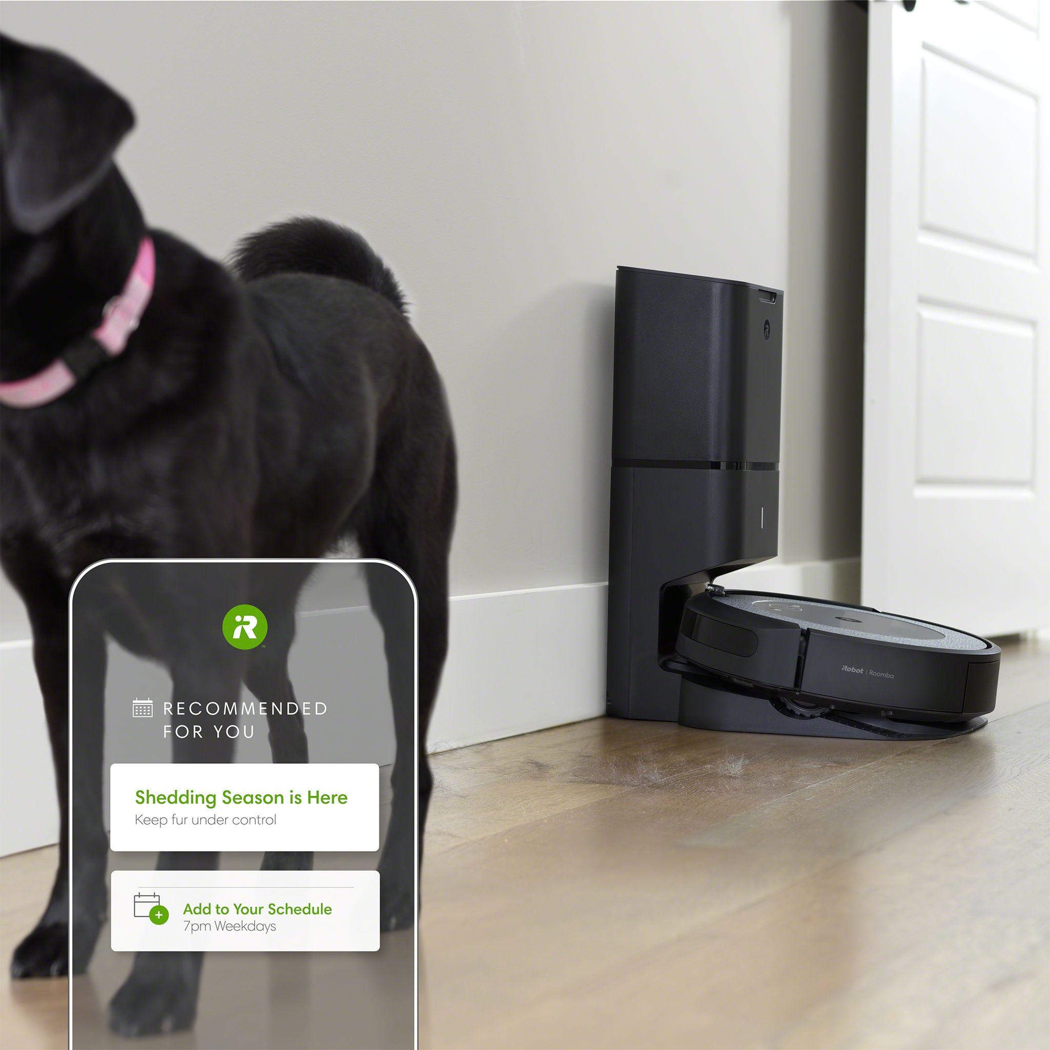 Voir la diapositive 4 : IROBOT Aspirateur robot connecté Roomba I3556 - Gris