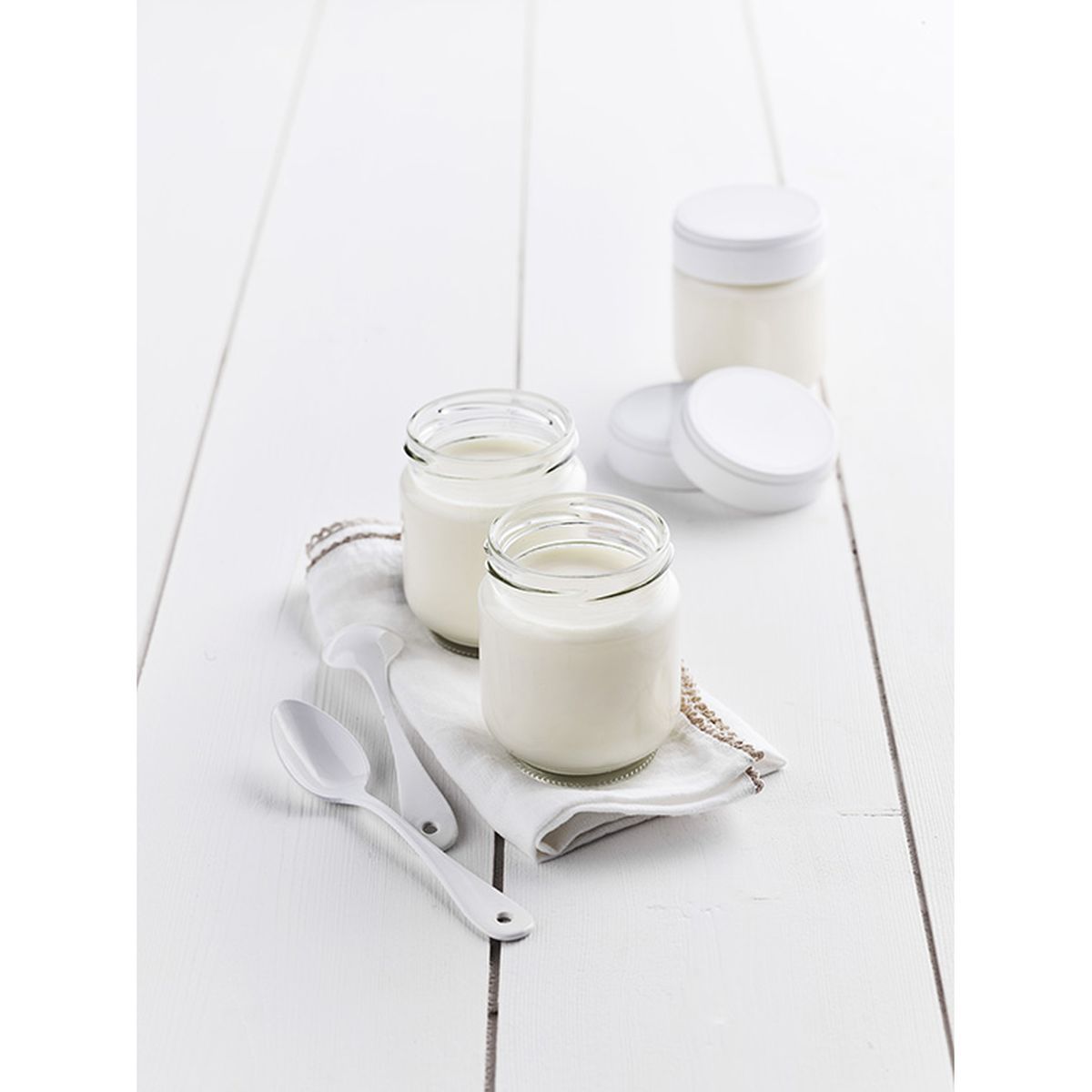 LAGRANGE Ferments pour yaourt