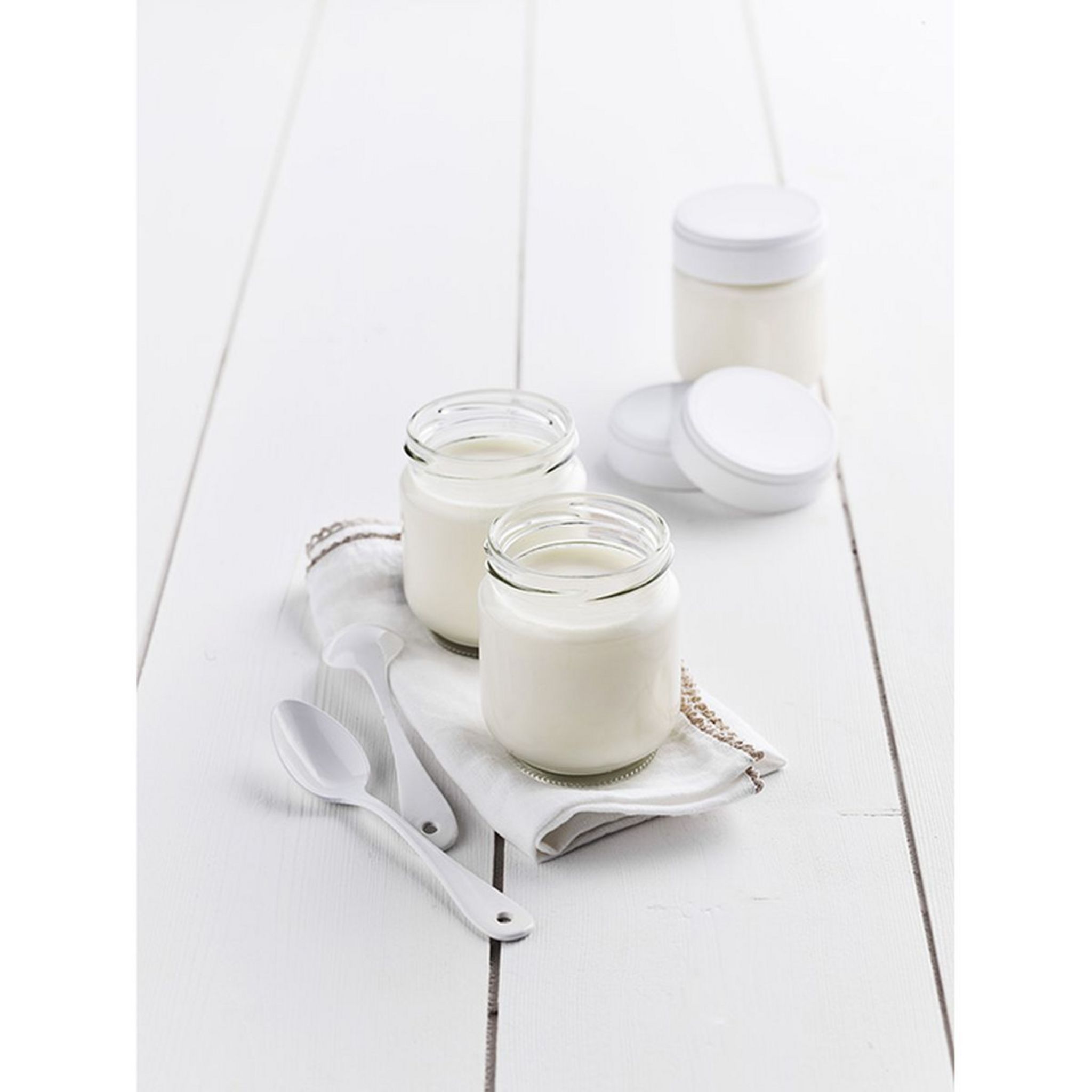 Voir la diapositive 2 : LAGRANGE Ferments pour yaourt