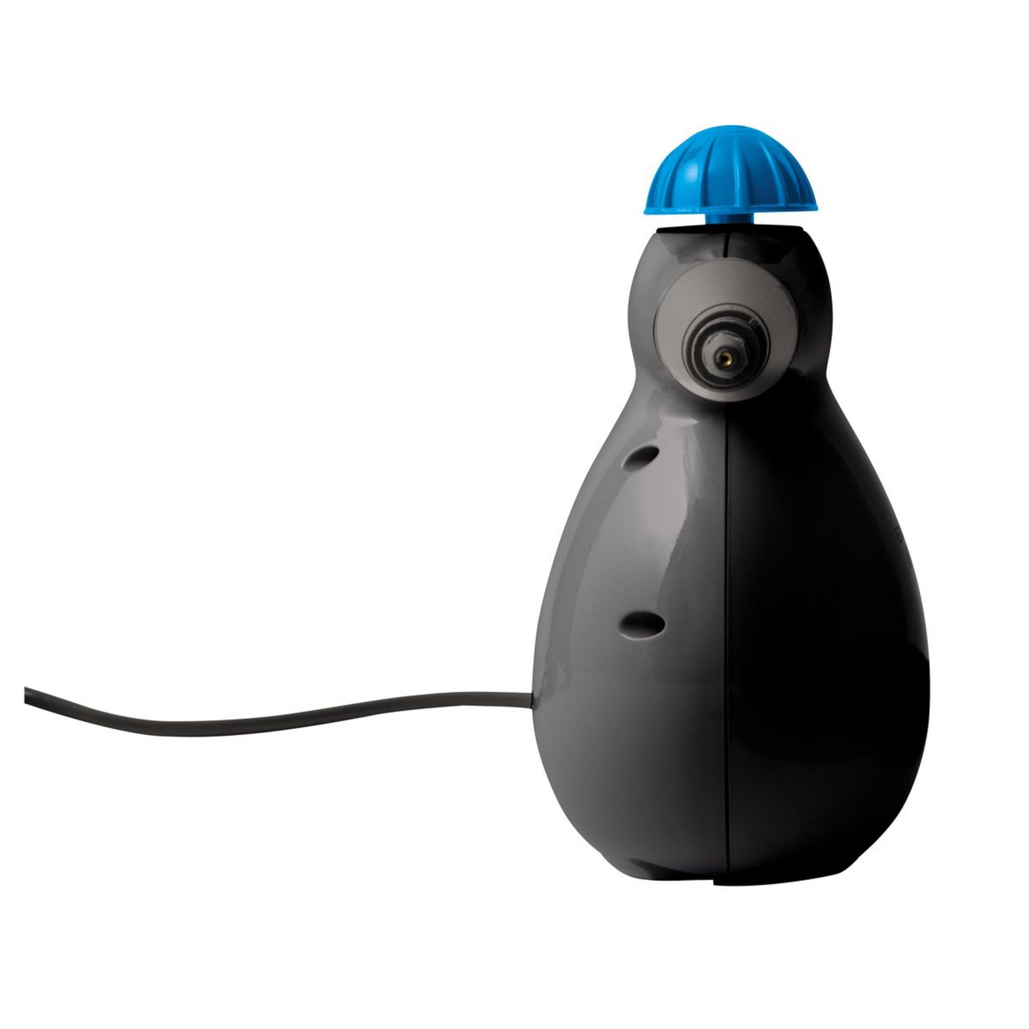 Voir la diapositive 2 : BISSELL Nettoyeur vapeur 2635J - Noir