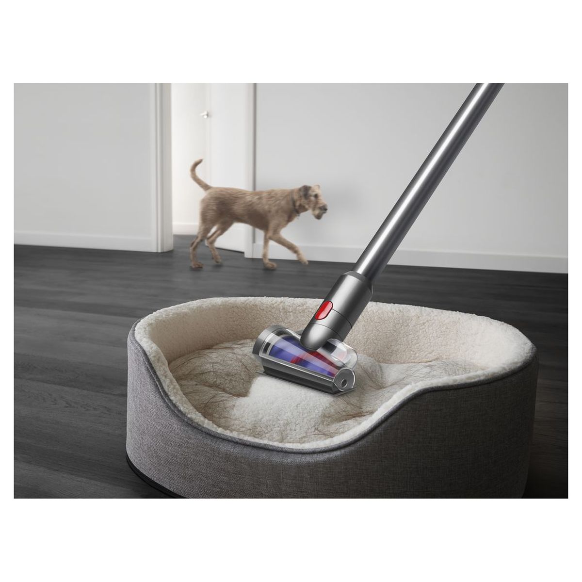 Voir la diapositive 4 : DYSON Aspirateur balai V15 detect absolute - Gris