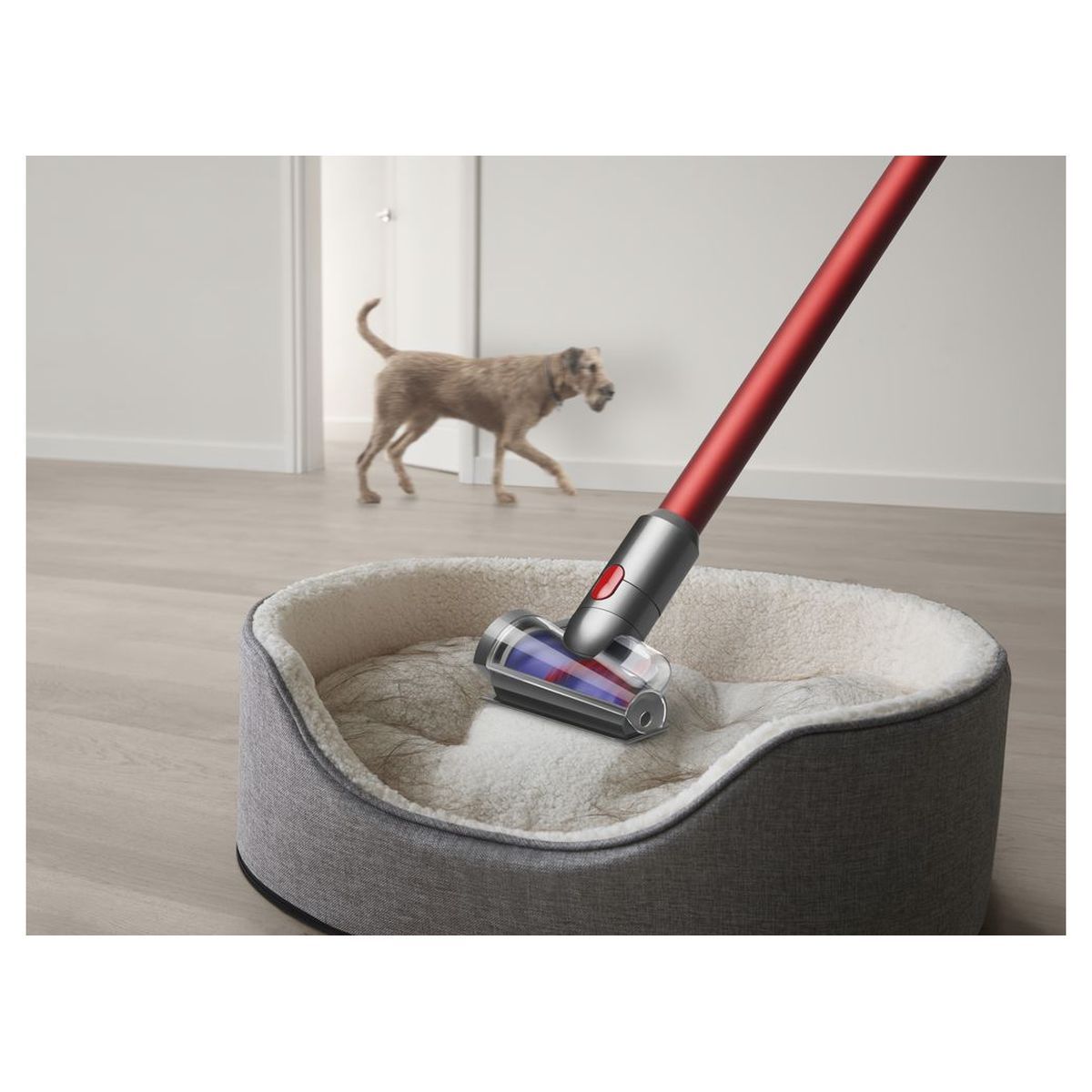 DYSON Aspirateur balai Outsize absolute - Gris
