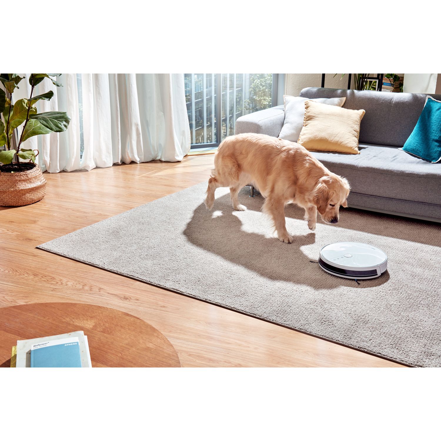 Voir la diapositive 5 : QILIVE Aspirateur robot connecté Q.5147 - Blanc