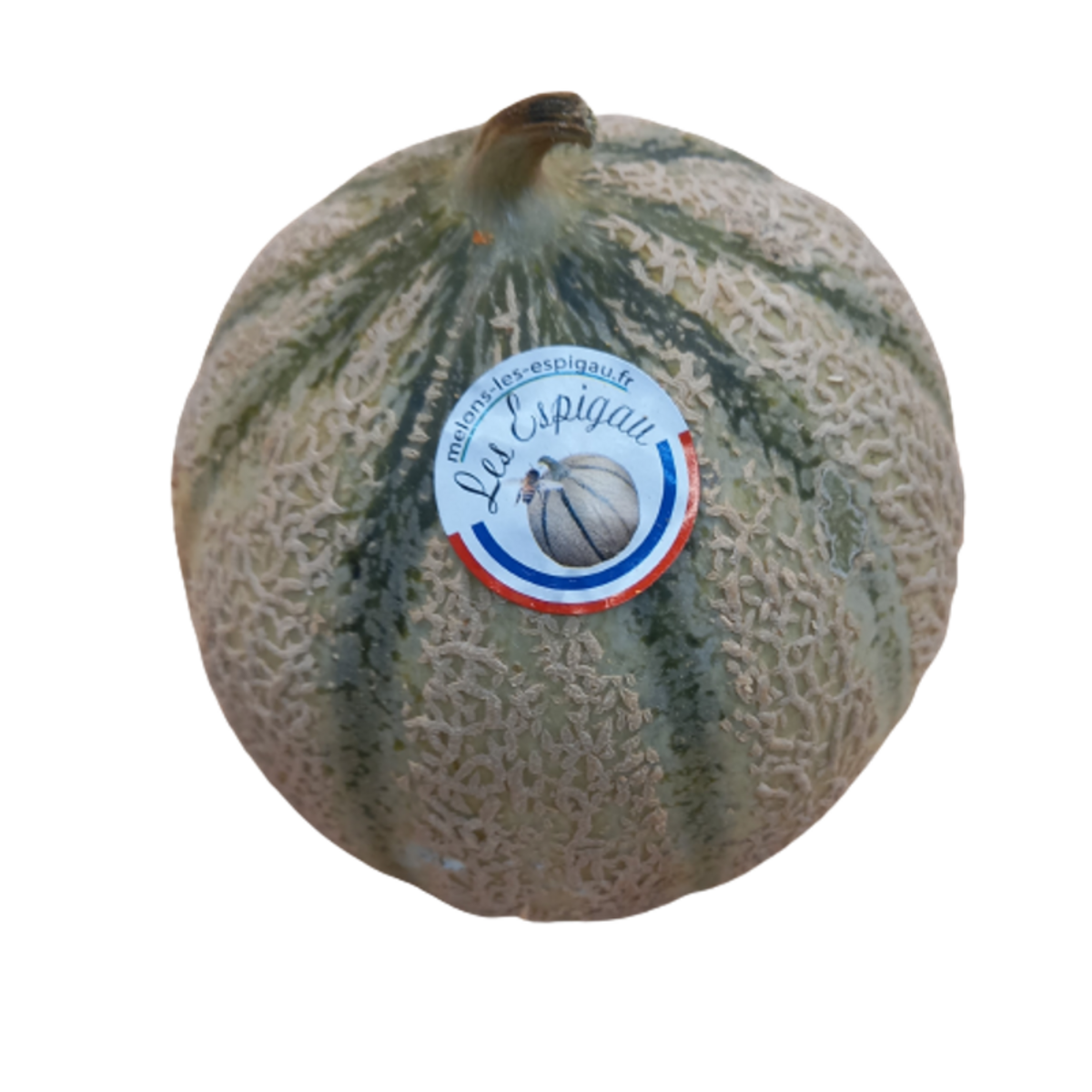 Le Melon du Mas de Levandon à St Martin de Crau Poids minimum : 1 kg  1 pièce