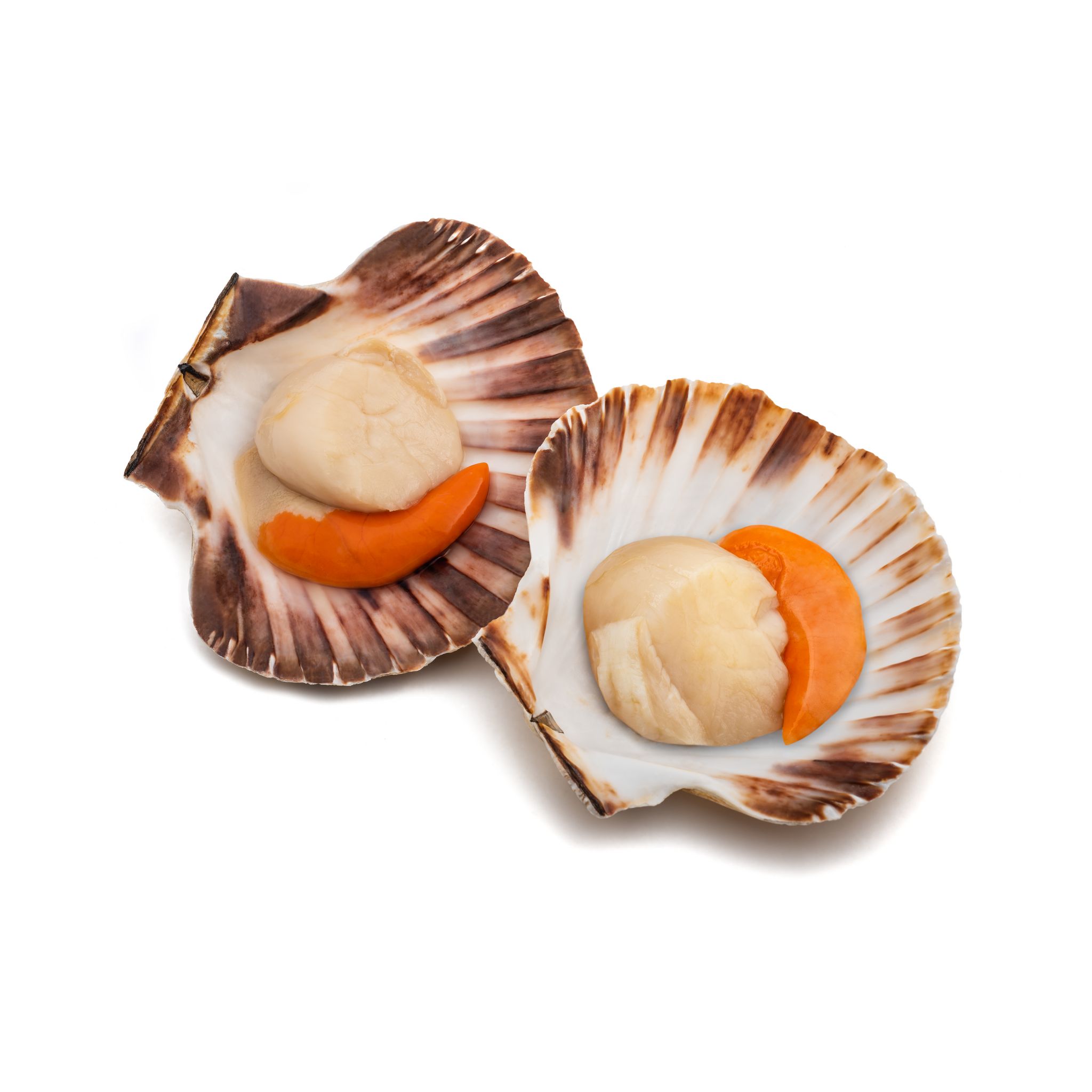 Coquille Saint Jacques Pas Cher