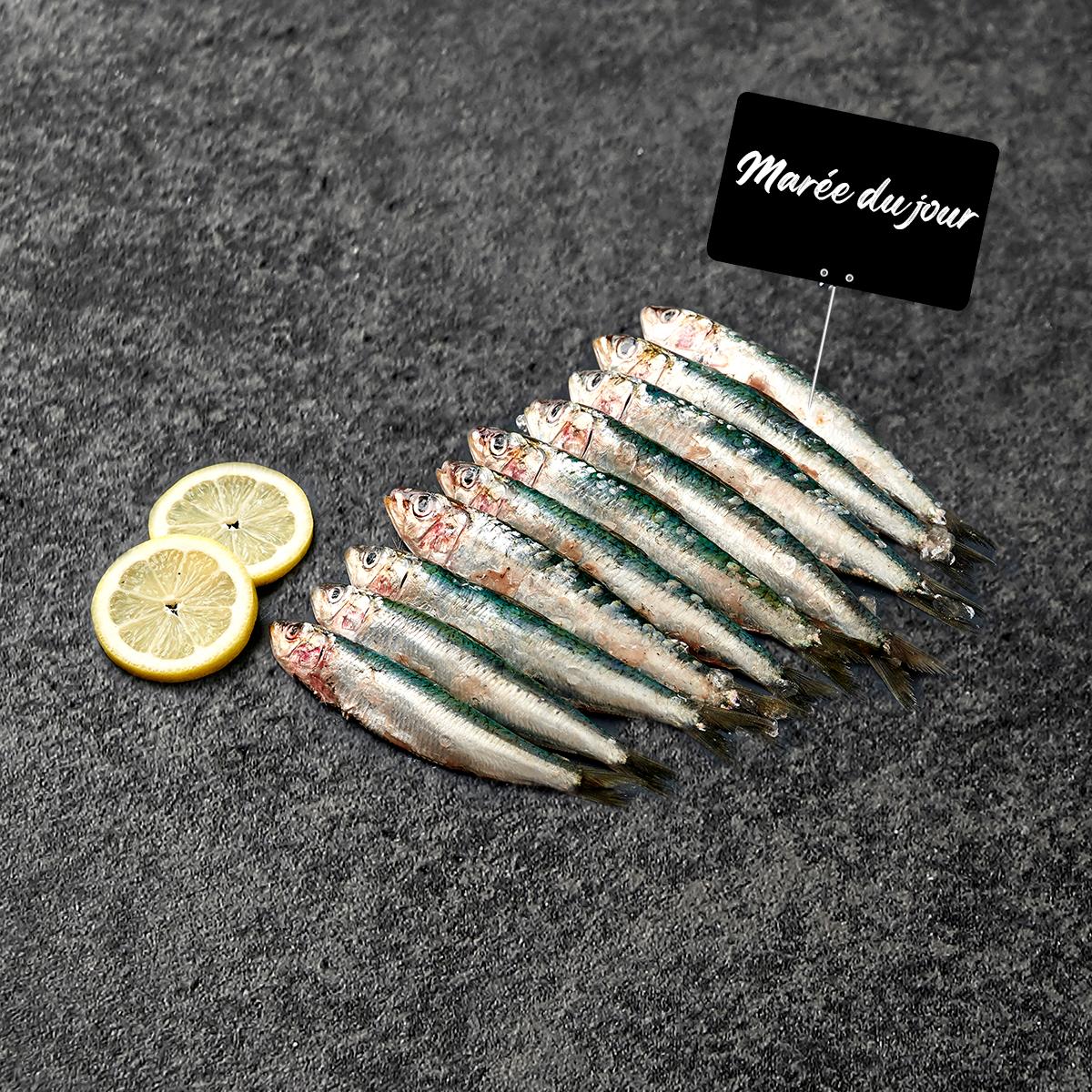MON POISSONNIER Sardines 3 portions 400 g à 600 g