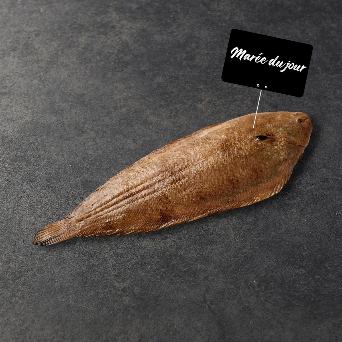MON POISSONNIER Sole vidé avec tête 1 pièce 170 g à 200 g