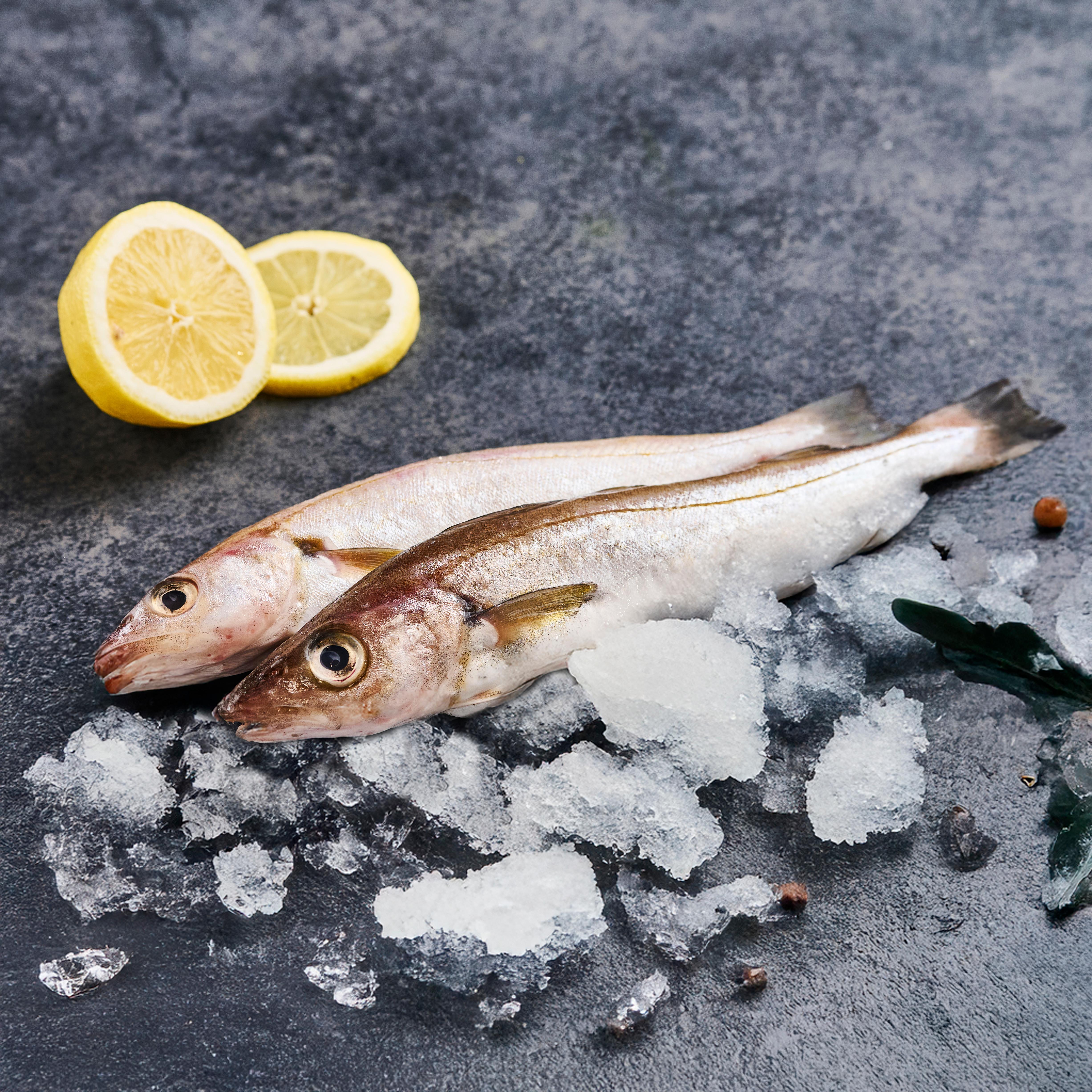 MON POISSONNIER Merlan entier vidé 3 portions 180 g à 220 g