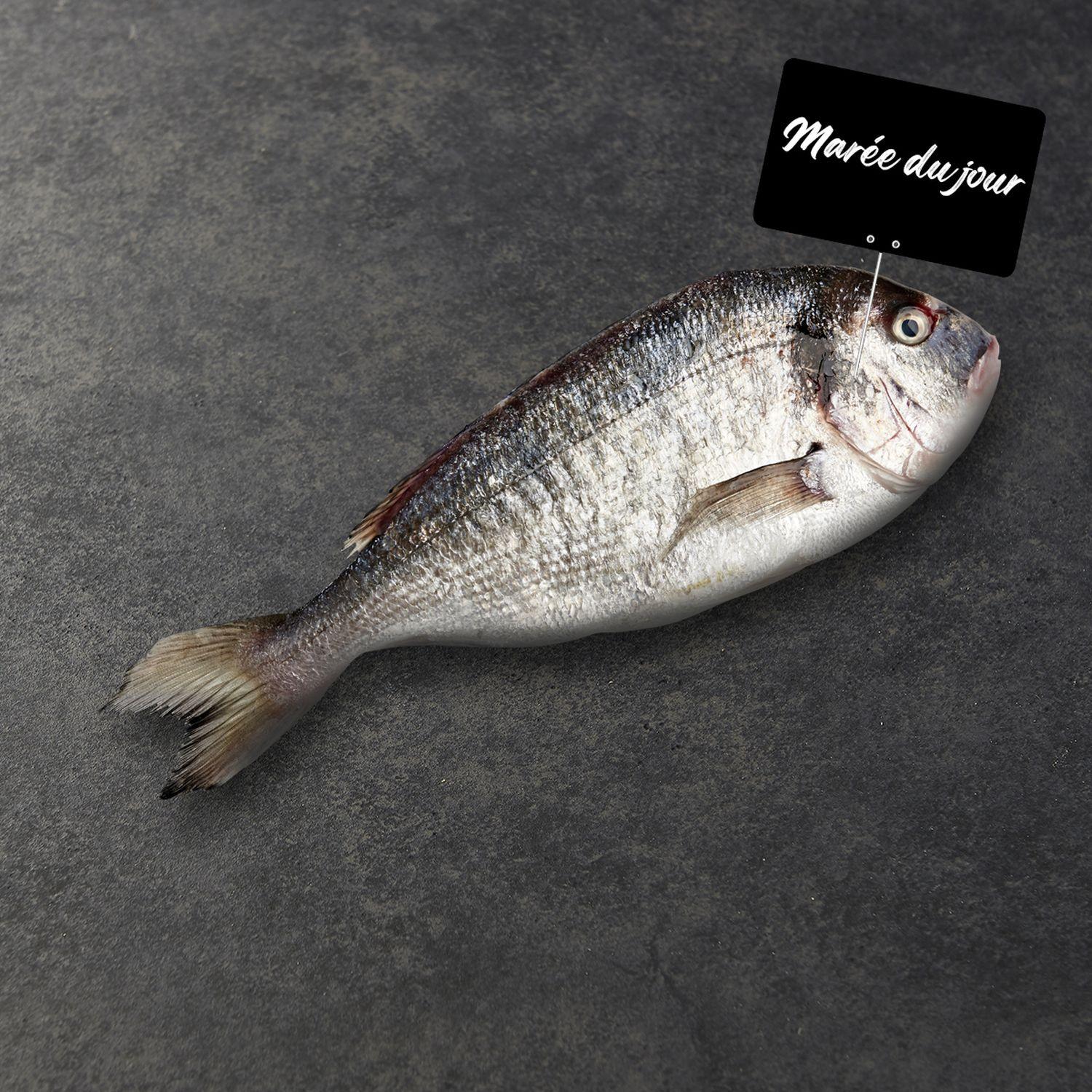 MON POISSONNIER CULTIVONS LE BON Daurade vidée grattée avec tête 3 portions 350 g à 450 g