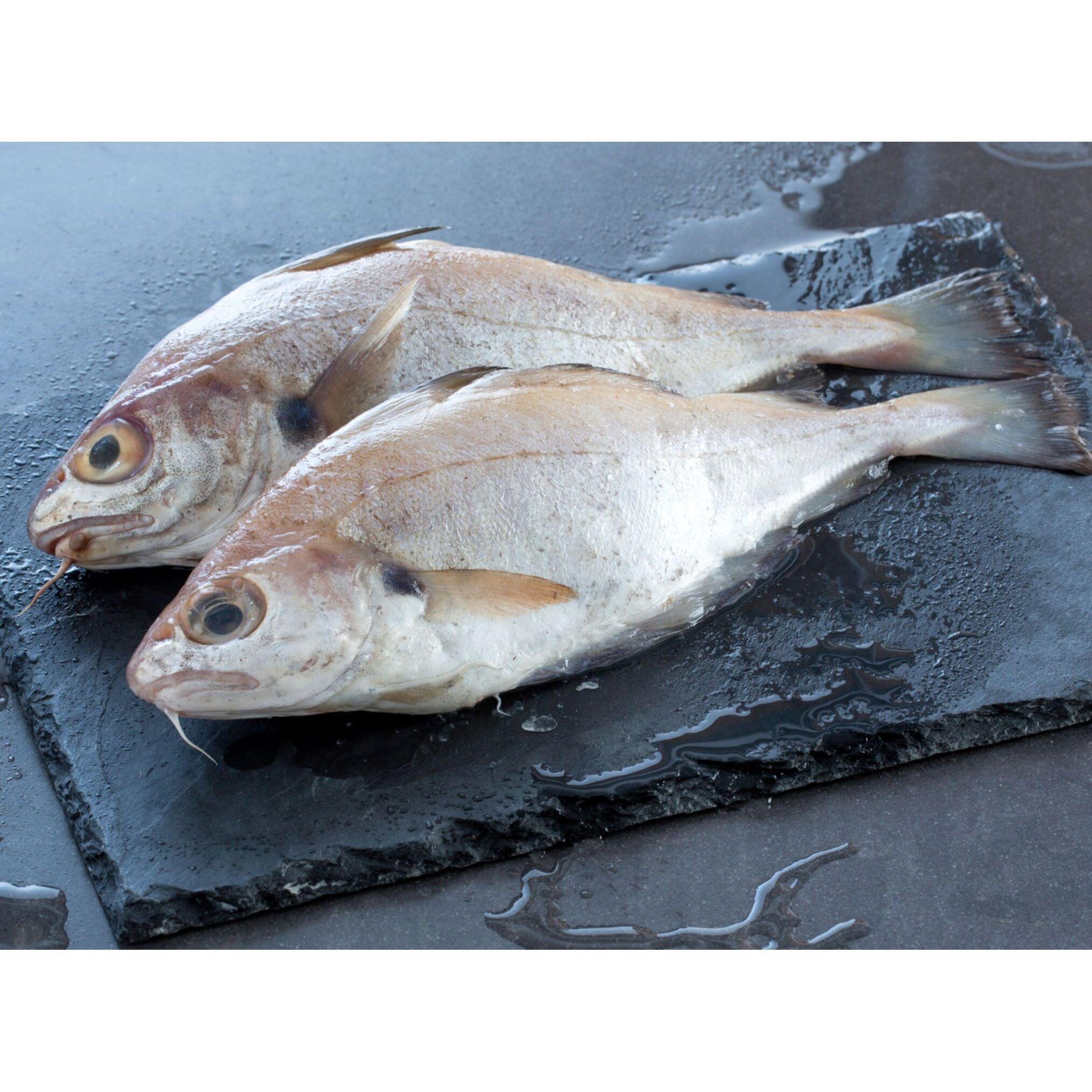 MON POISSONNIER Tacaud vidé 3 portions 150 g à 250 g