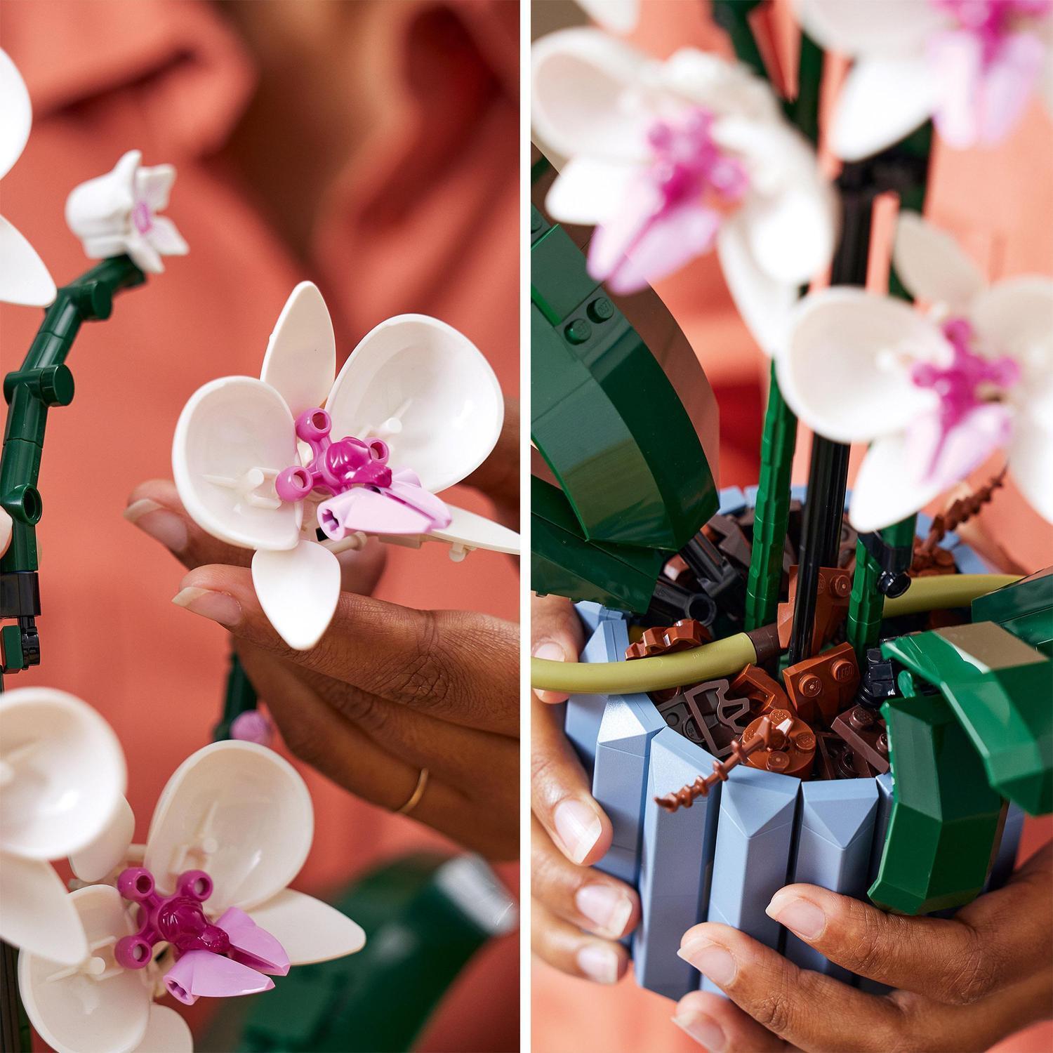 Voir la diapositive 5 : LEGO Botanicals 10311 L’Orchidée - Plante Artificielle d'Intérieur, Décoration de Maison