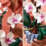 Voir la diapositive 5 : LEGO Botanicals 10311 - L'Orchidée