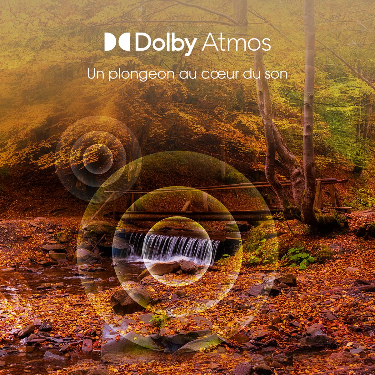 HISENSE 65A7GQ TV QLED 4K Ultra HD 164 cm Smart TV