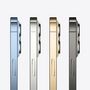Voir la diapositive 4 : APPLE iPhone 13 Pro Max - 128 GO - Graphite
