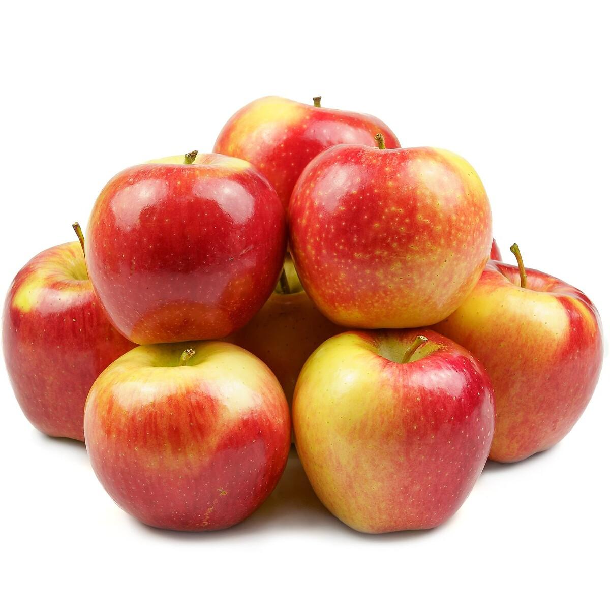 Pommes Reine des Reinettes Bio 4 fruits