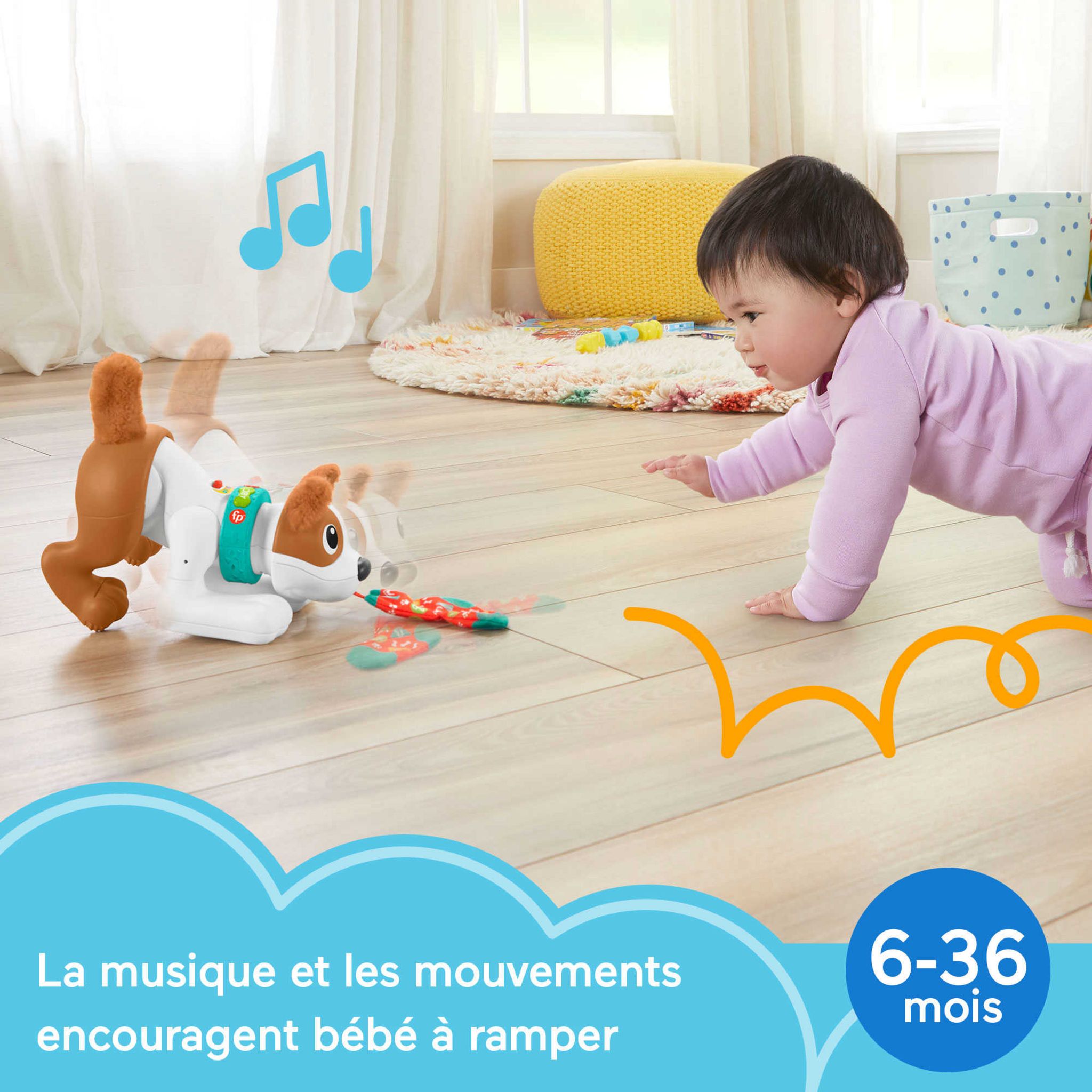 Voir la diapositive 5 : MATTEL Mon Petit Chiot Rampe avec moi Fisher Price