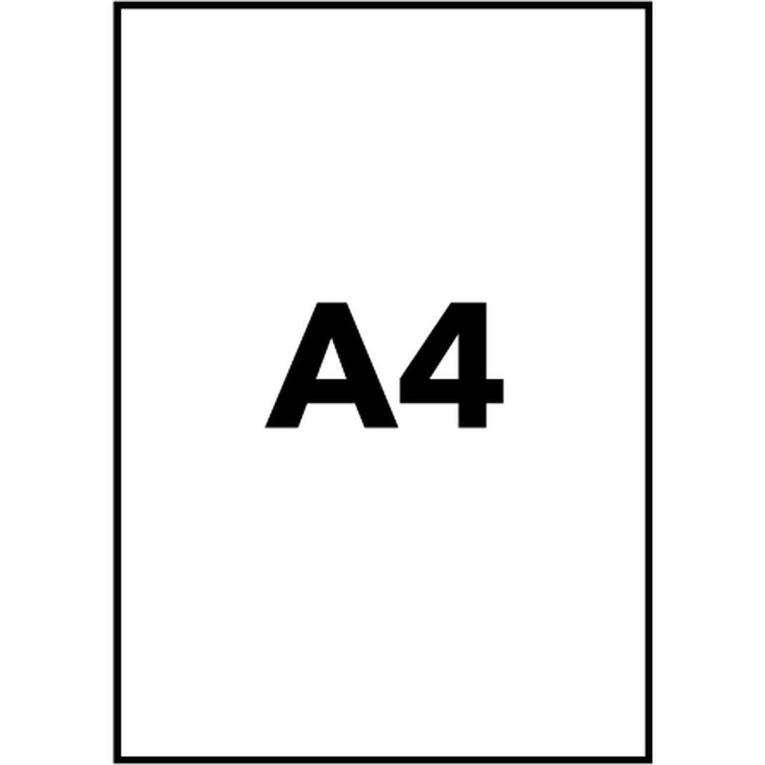 Voir la diapositive 5 : AVERY Stickers A4 C9421