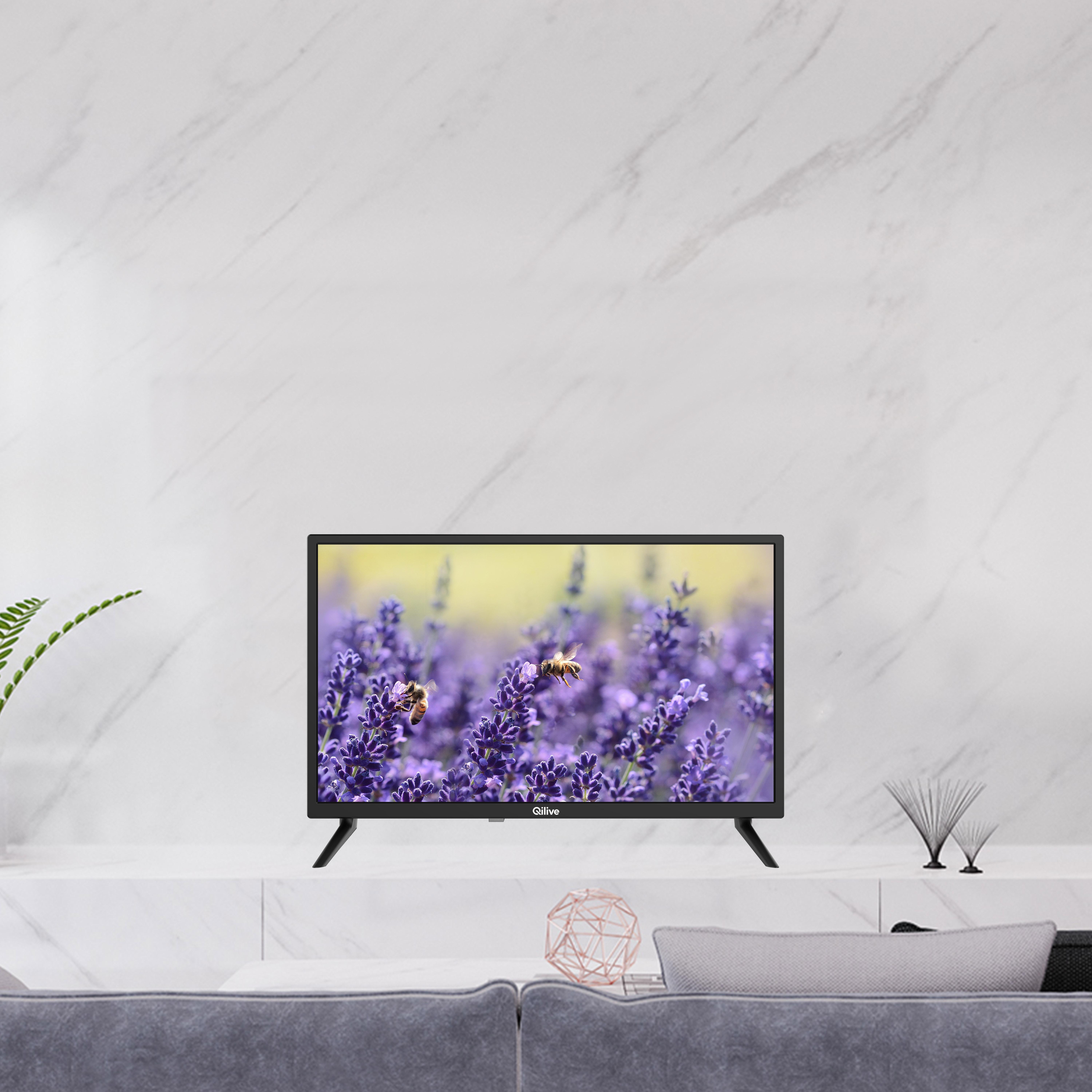 Voir la diapositive 2 : QILIVE TV DLED HD Q24HS221B  - 60 cm Smart TV