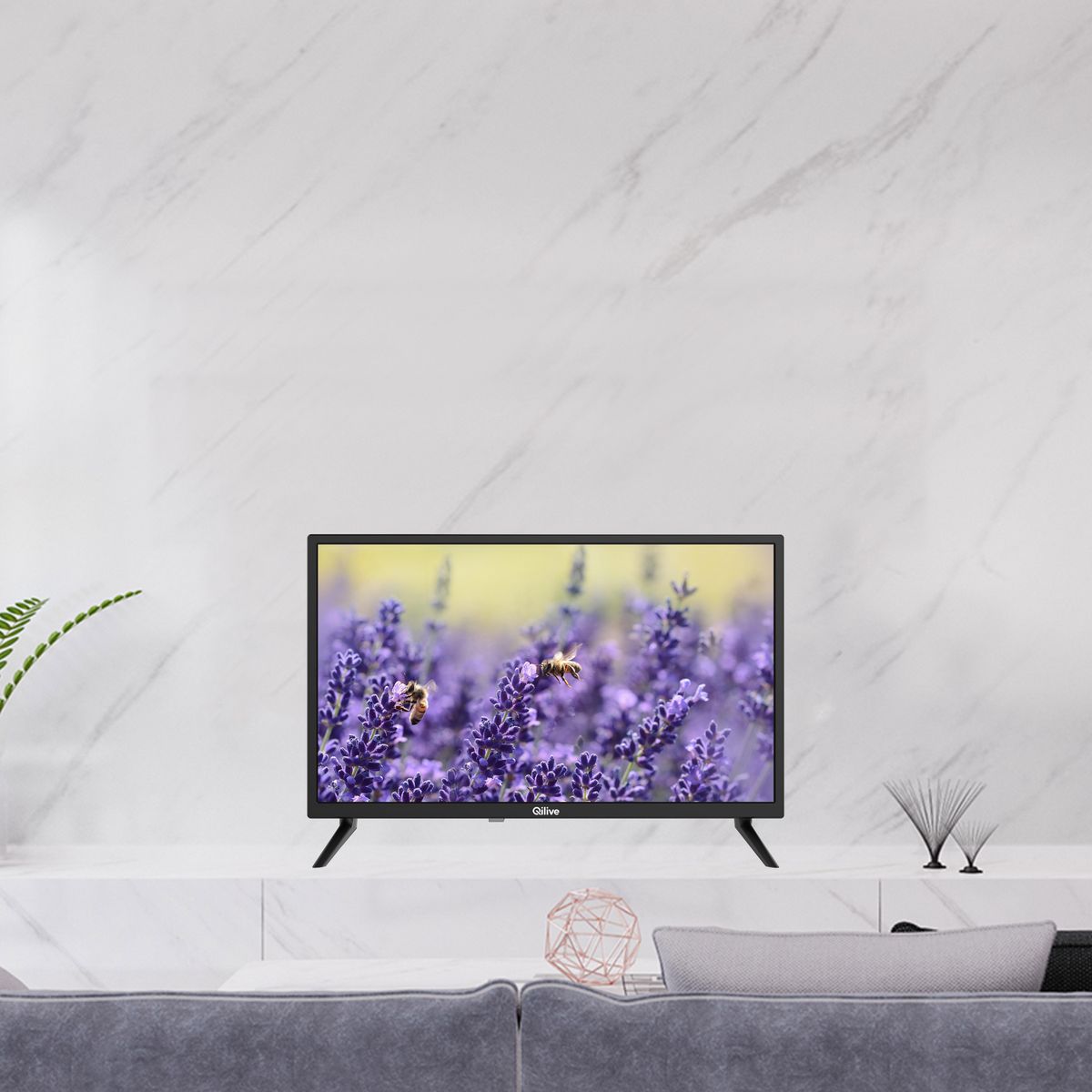 QILIVE TV DLED HD Q24HS221B  - 60 cm Smart TV