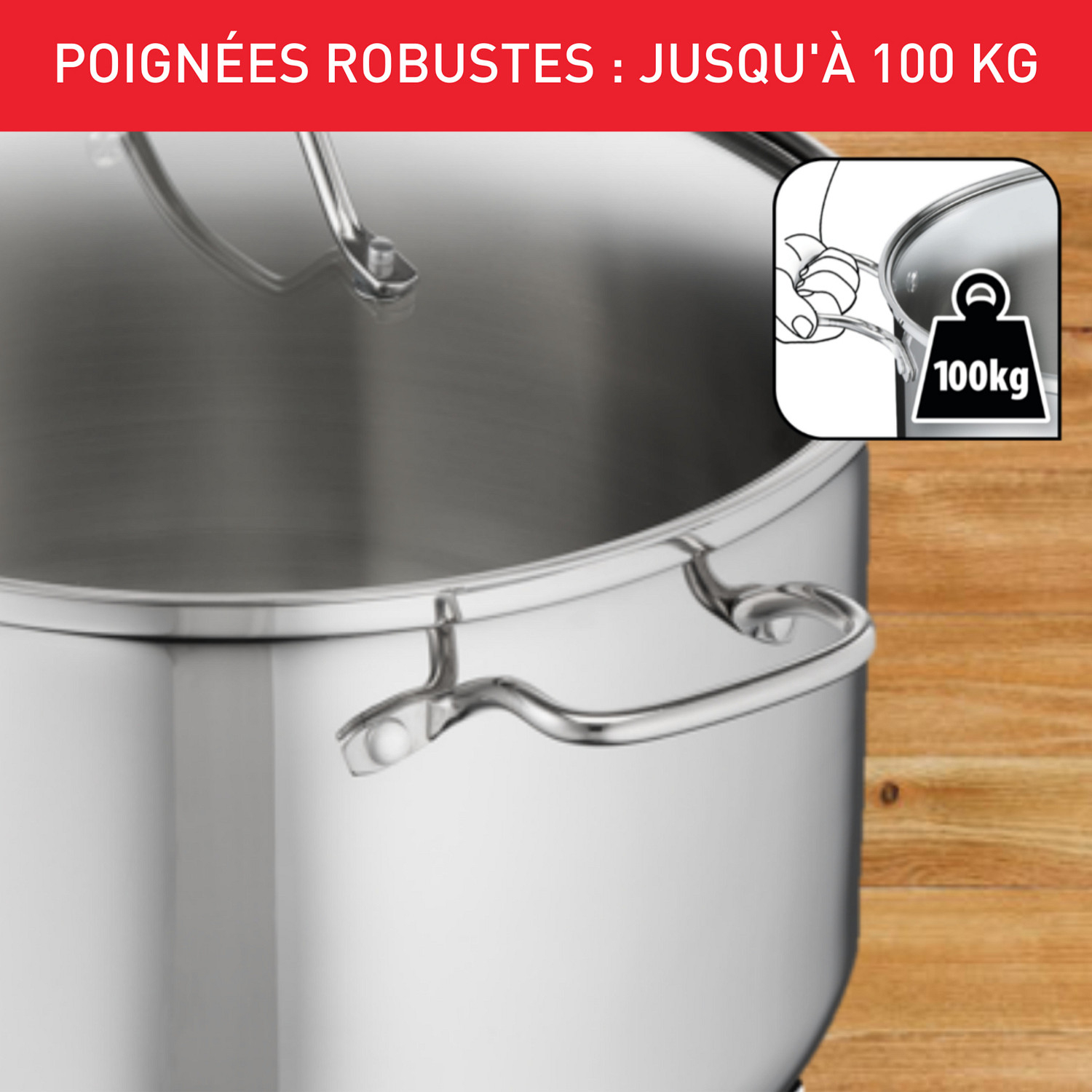 Voir la diapositive 5 : TEFAL Marmite 36 cm (20 L) tous feux dont induction avec couvercle INTUITION XL