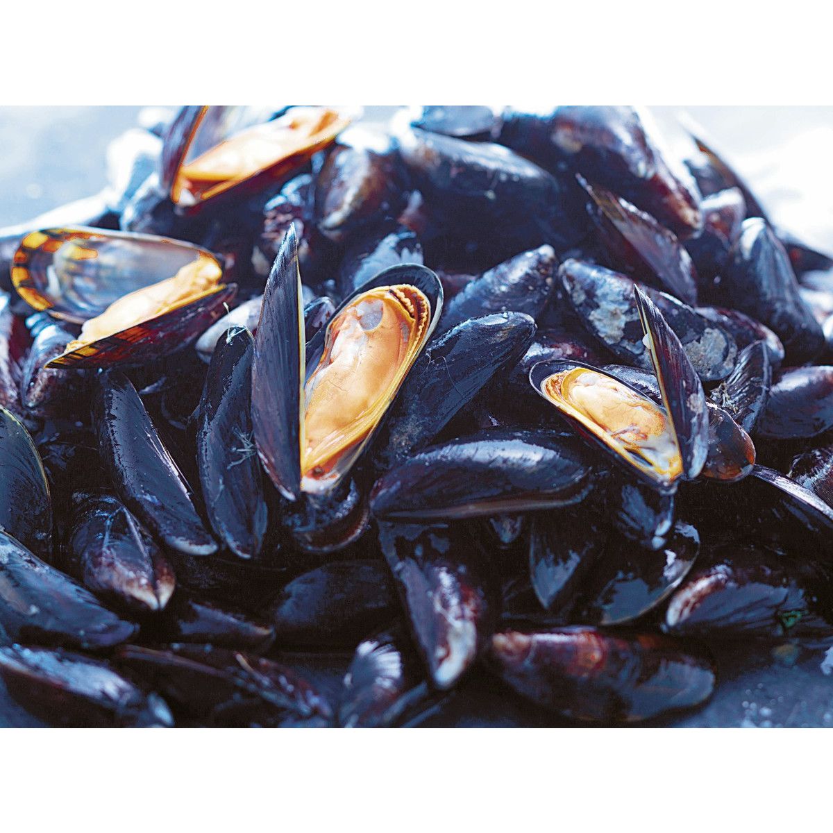 LA MARÉE DU JOUR Moule bouchot St Michel  1kg