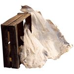 LA MARÉE DU JOUR Morue 16/20 caisse de 5 kg