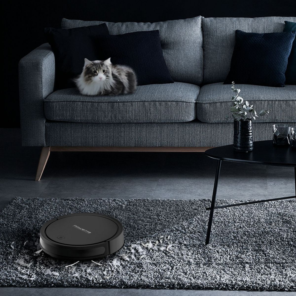 ROWENTA Aspirateur robot&nbsp;&nbsp;X-Plorer Serie 50 RR7375WH - Noir