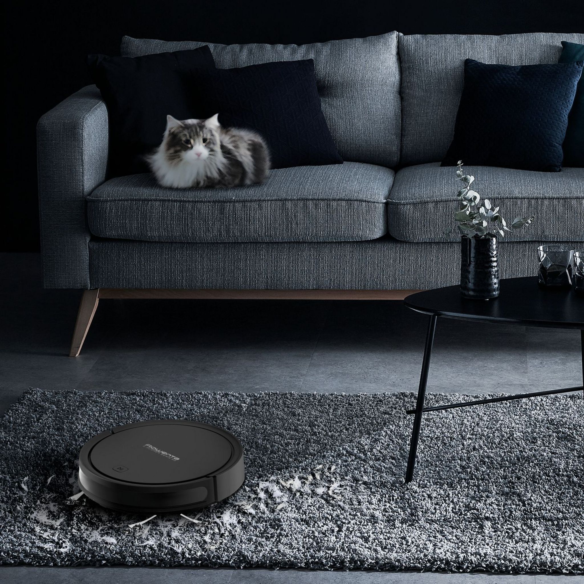 Voir la diapositive 3 : ROWENTA Aspirateur robot&nbsp;&nbsp;X-Plorer Serie 50 RR7375WH - Noir