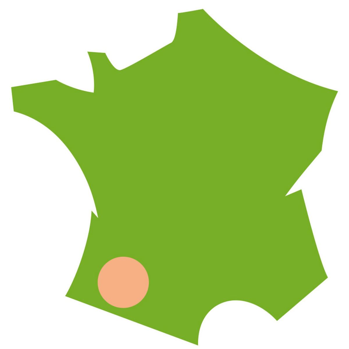 MOULINEX Mini hachoir VALENTIN DJ120810 - Noir