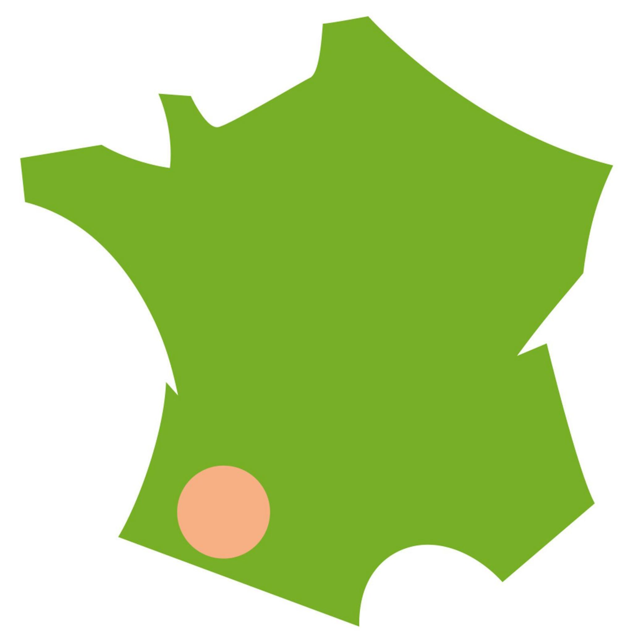 Voir la diapositive 9 : MOULINEX Mini hachoir VALENTIN DJ120810 - Noir