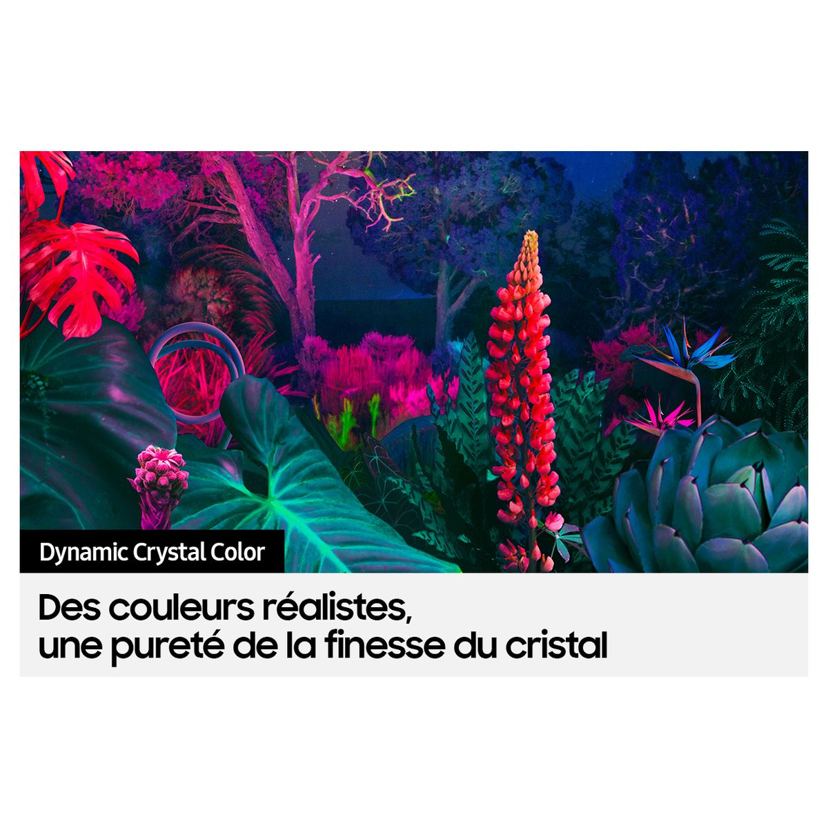 Voir la diapositive 13 : SAMSUNG UE65BU8505 2022 TV LED 4K Crystal UHD 163cm Smart TV