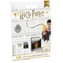 EMTEC Carte mémoire MSD 32 GO UHS-I U1 - Harry Potter Gryffondor
