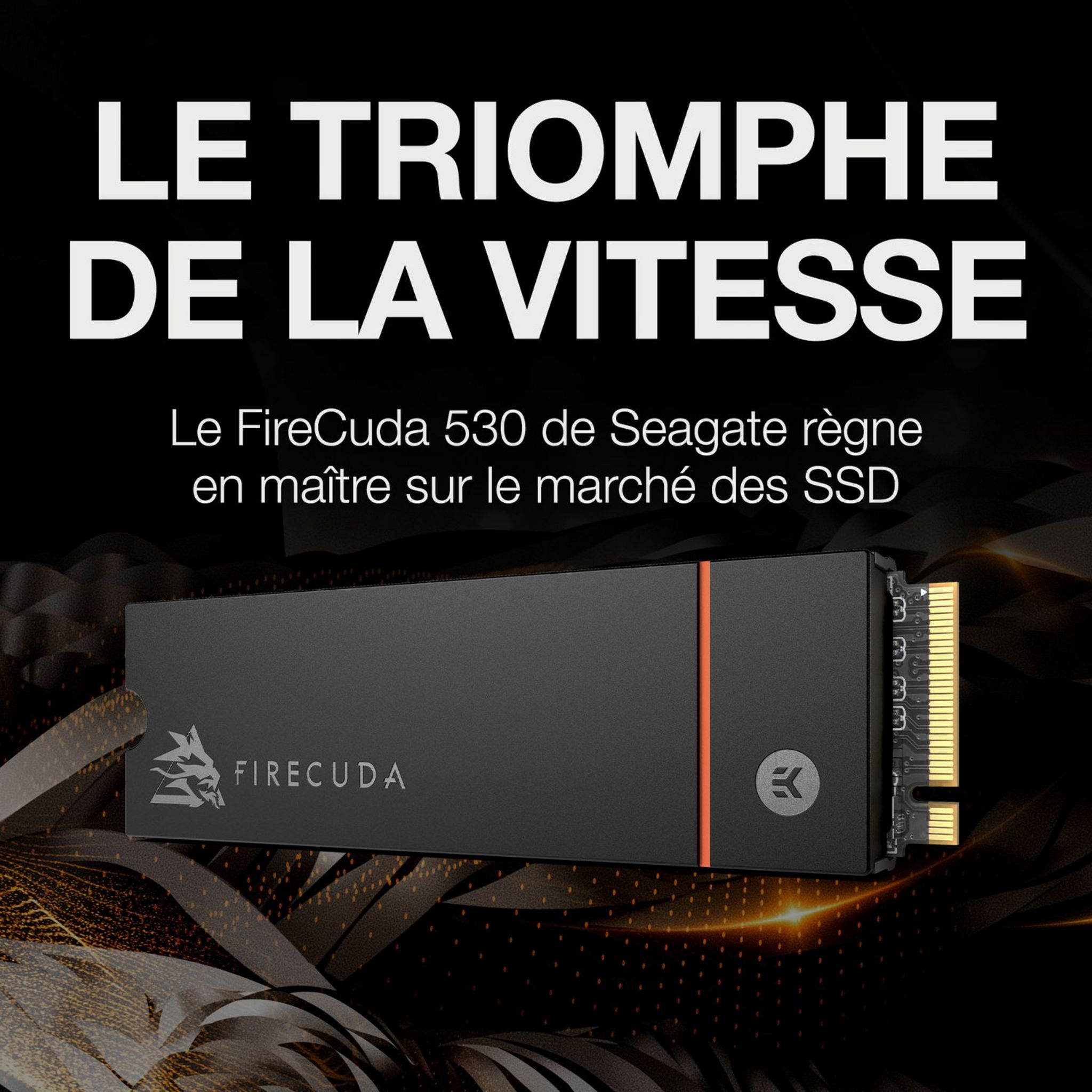 Voir la diapositive 3 : SEAGATE Disque dur SSD INT FCUDAPS5 500GO