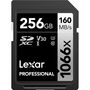 Voir la diapositive 6 : LEXAR Carte mémoire SDXC 256GO UHS-I 1066X