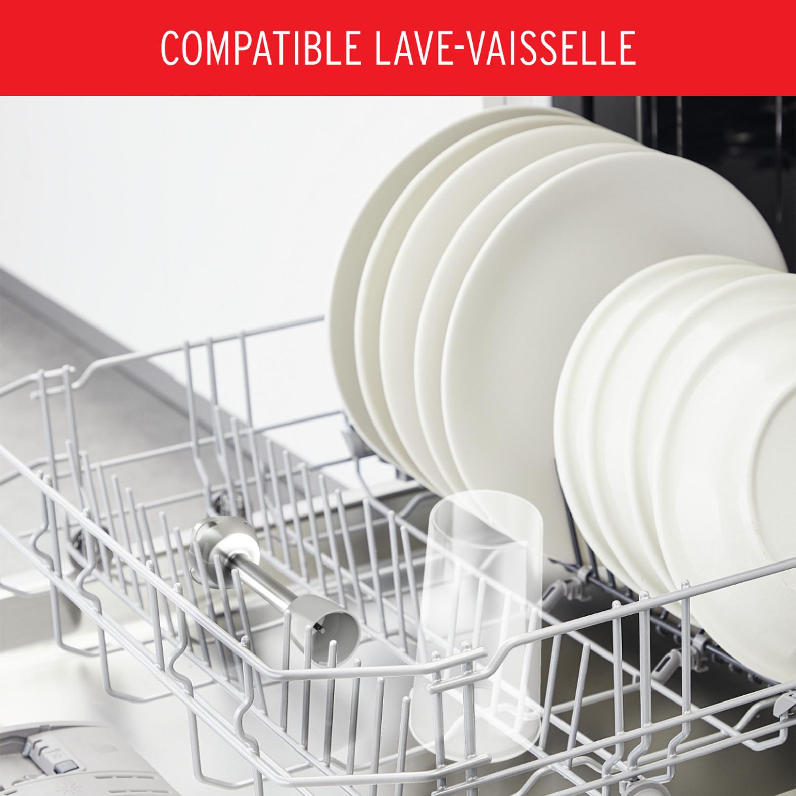 Voir la diapositive 13 : MOULINEX Mixeur plongeant soleil DD471E10