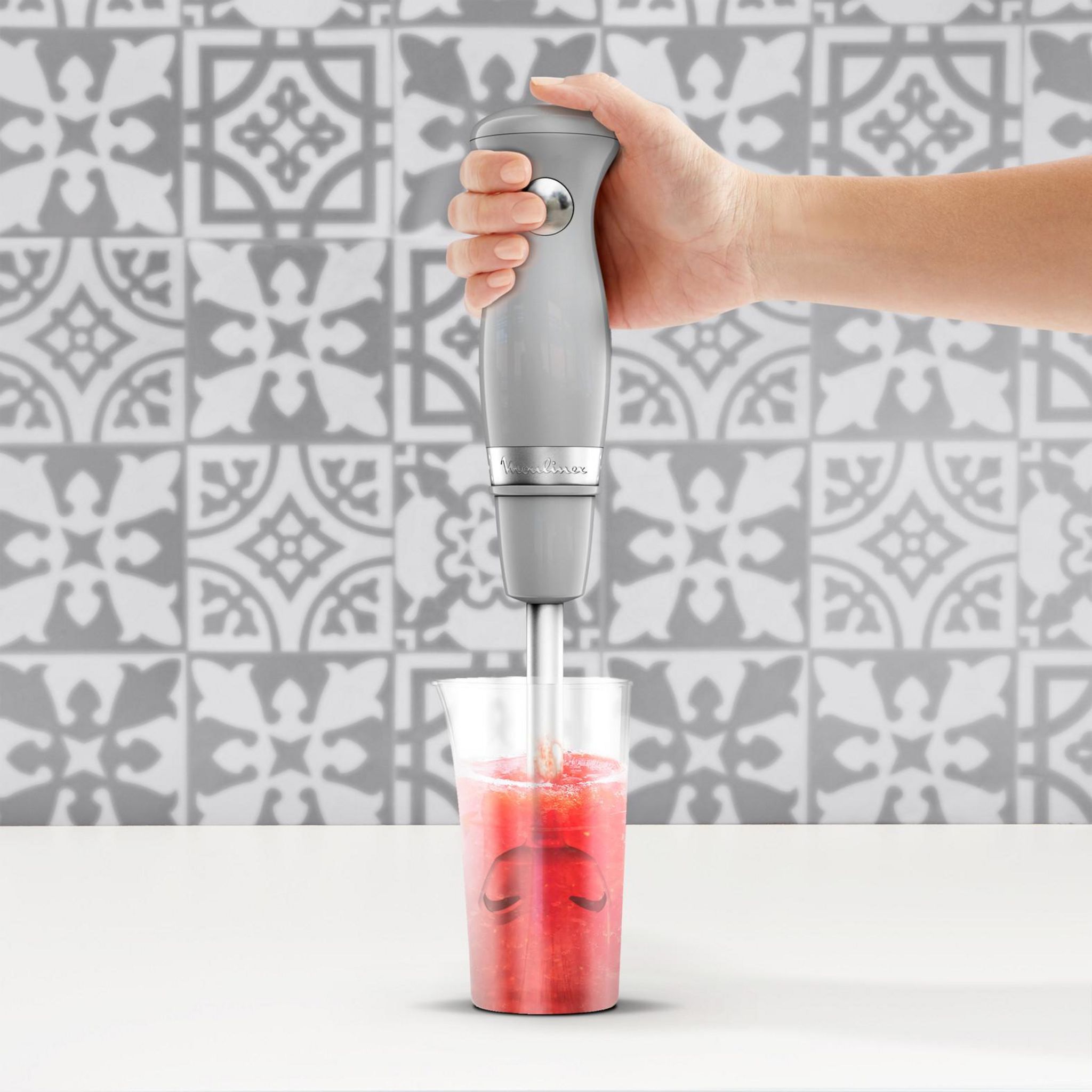 Voir la diapositive 5 : MOULINEX Mixeur plongeant soleil DD471E10