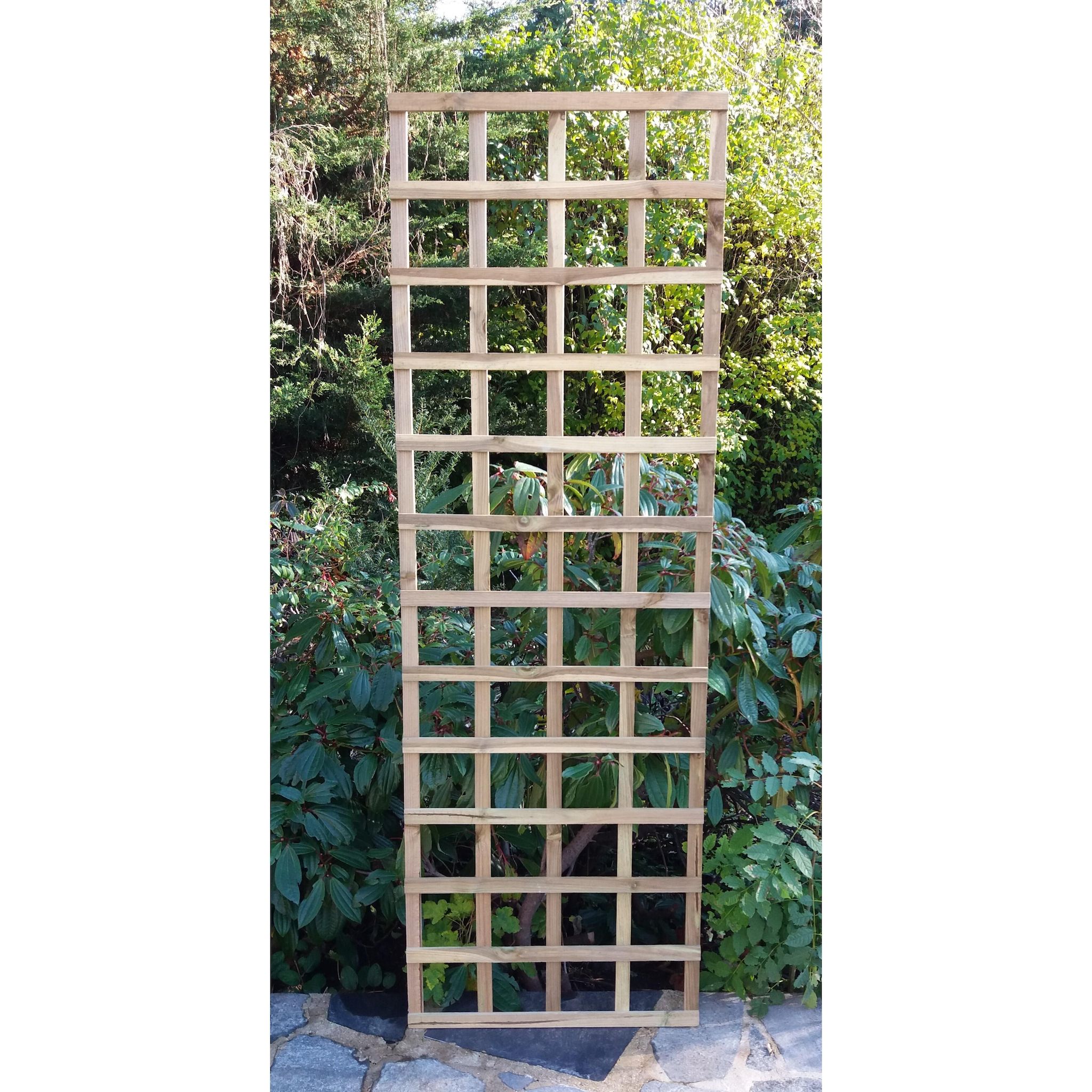 GARDENSTAR Treillis cadre 60xh180 cm épaisseur 2 cm en pin autoclavé